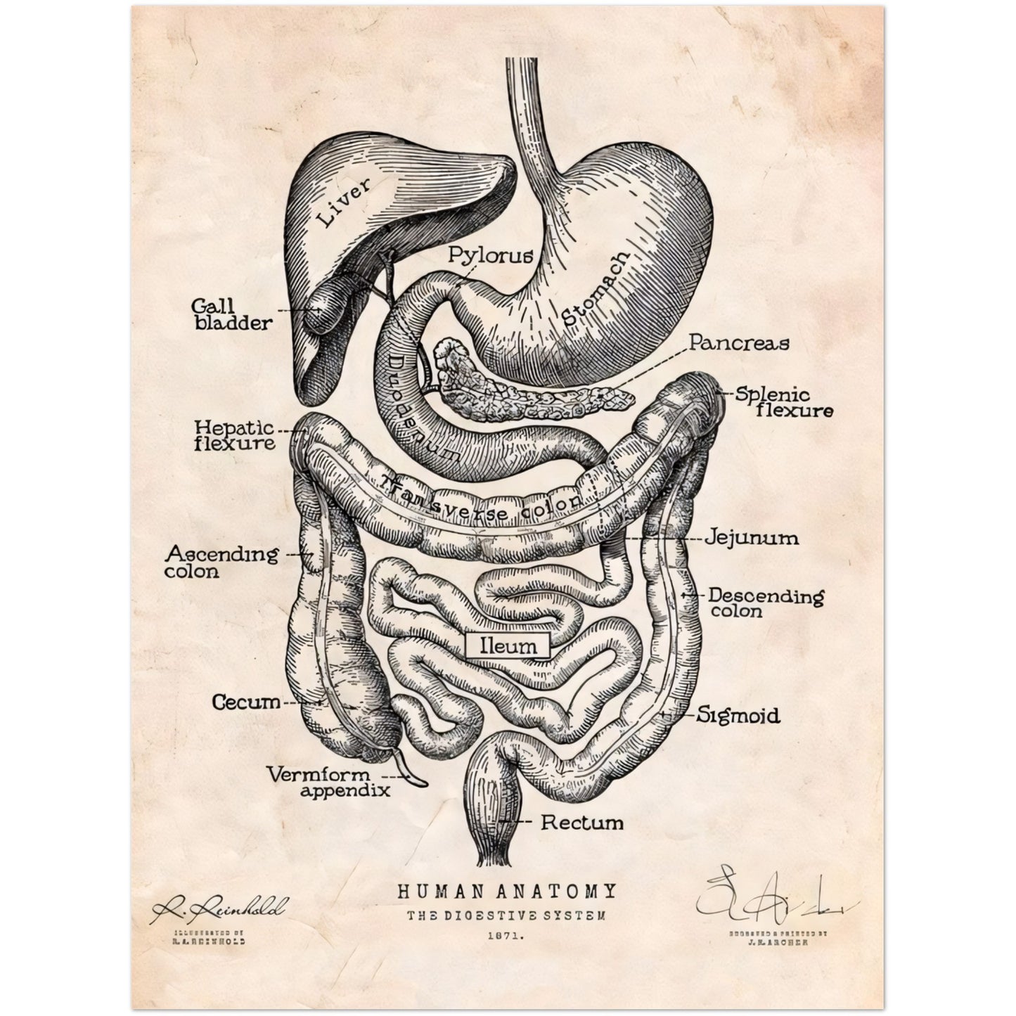 00e2fff7-7942-48af-ae0c-295442101d36