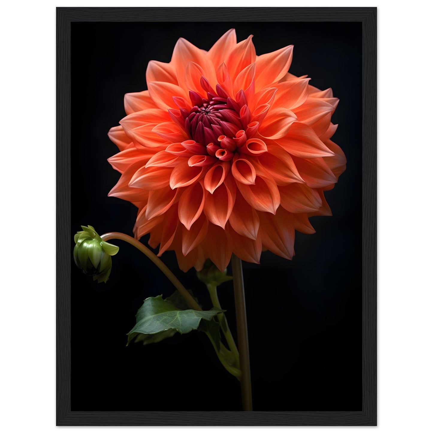 Dahlie Orange - Poster