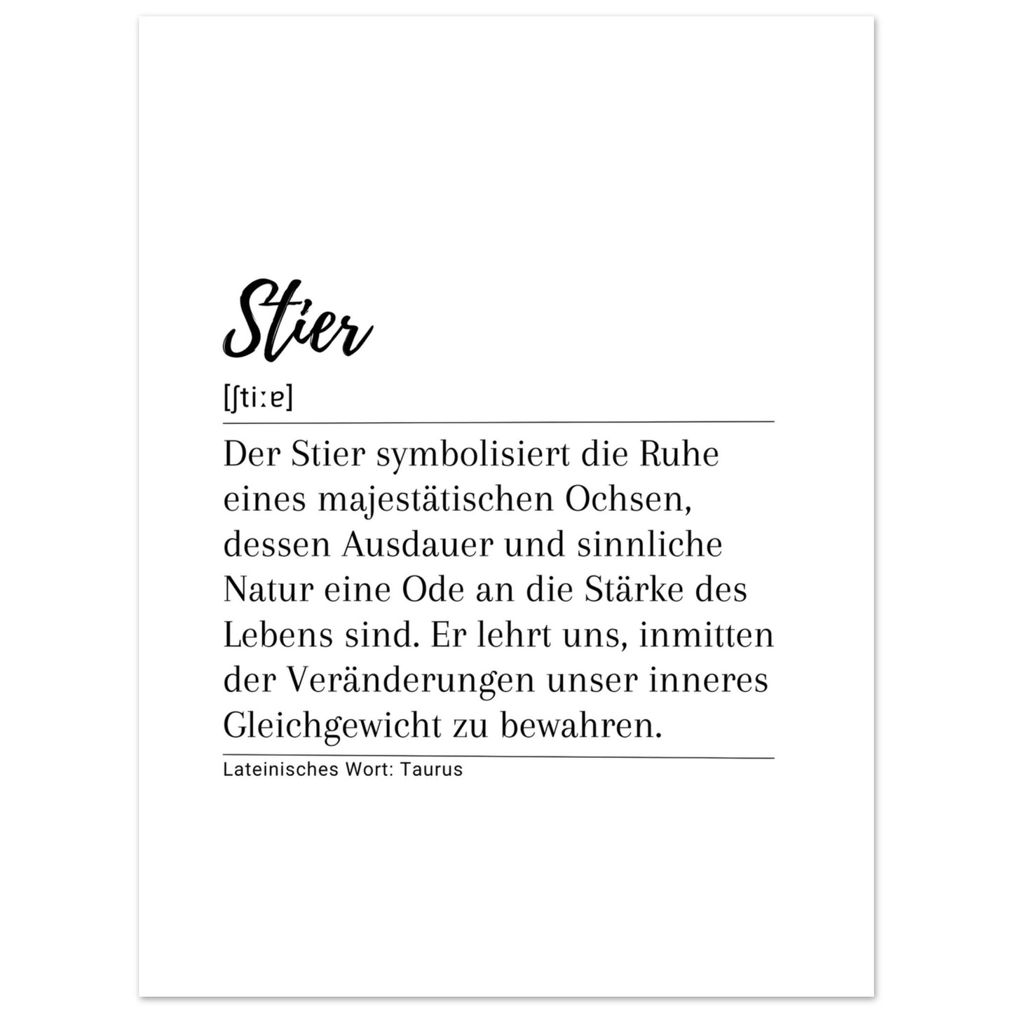 Stier - Poster