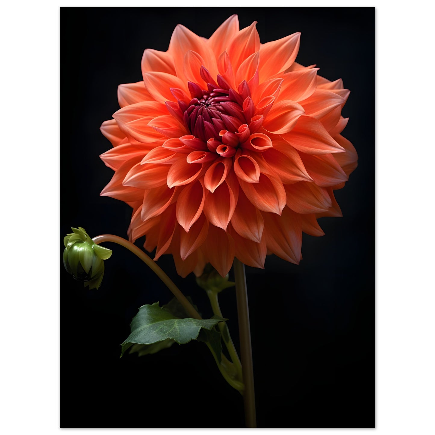 Dahlie Orange - Poster