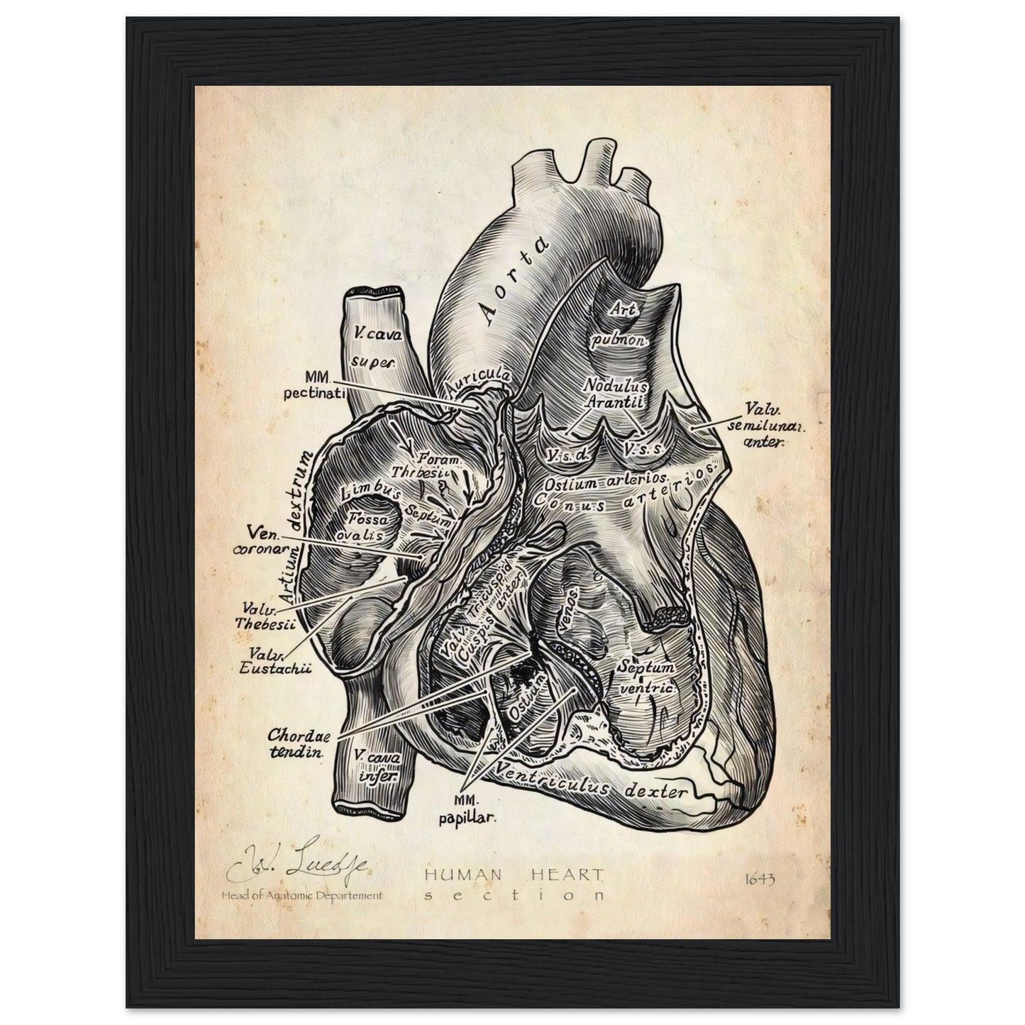 0fa9ef1e-cbb8-4a88-a0f4-4c243dcc6be7