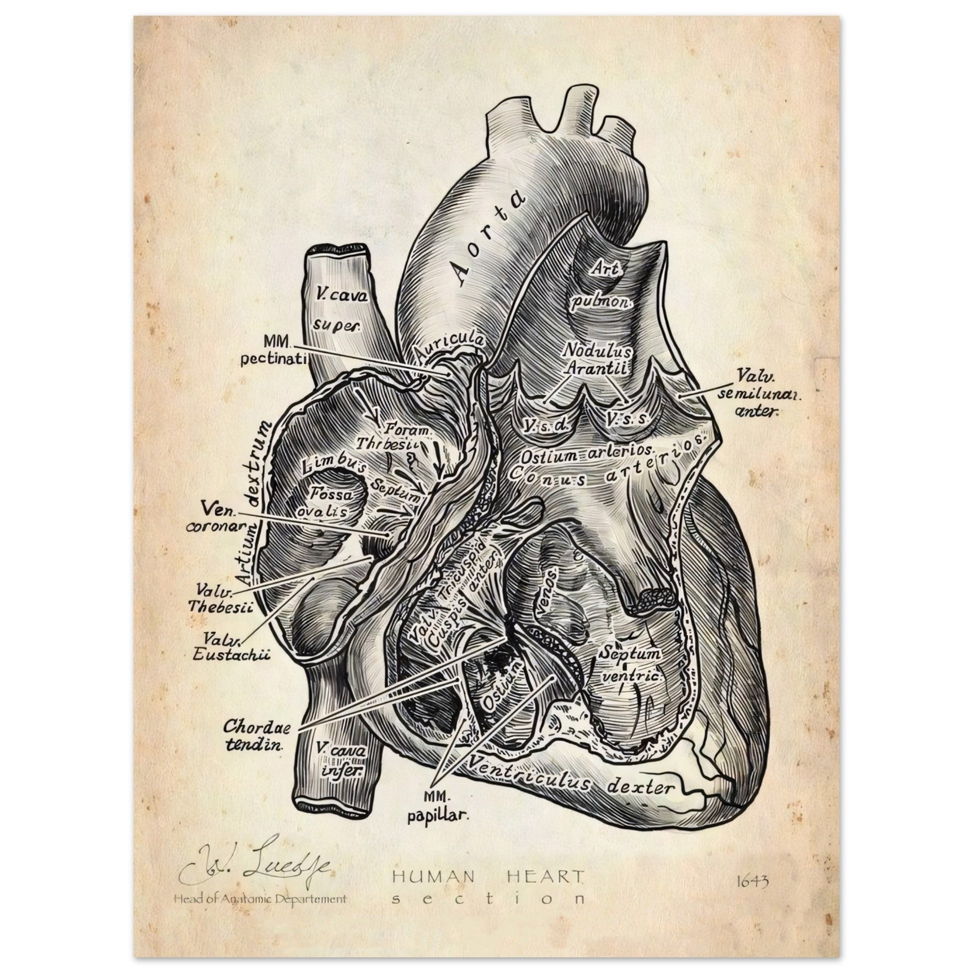 14426e71-c80d-44c0-a3ad-909dd2297fdc