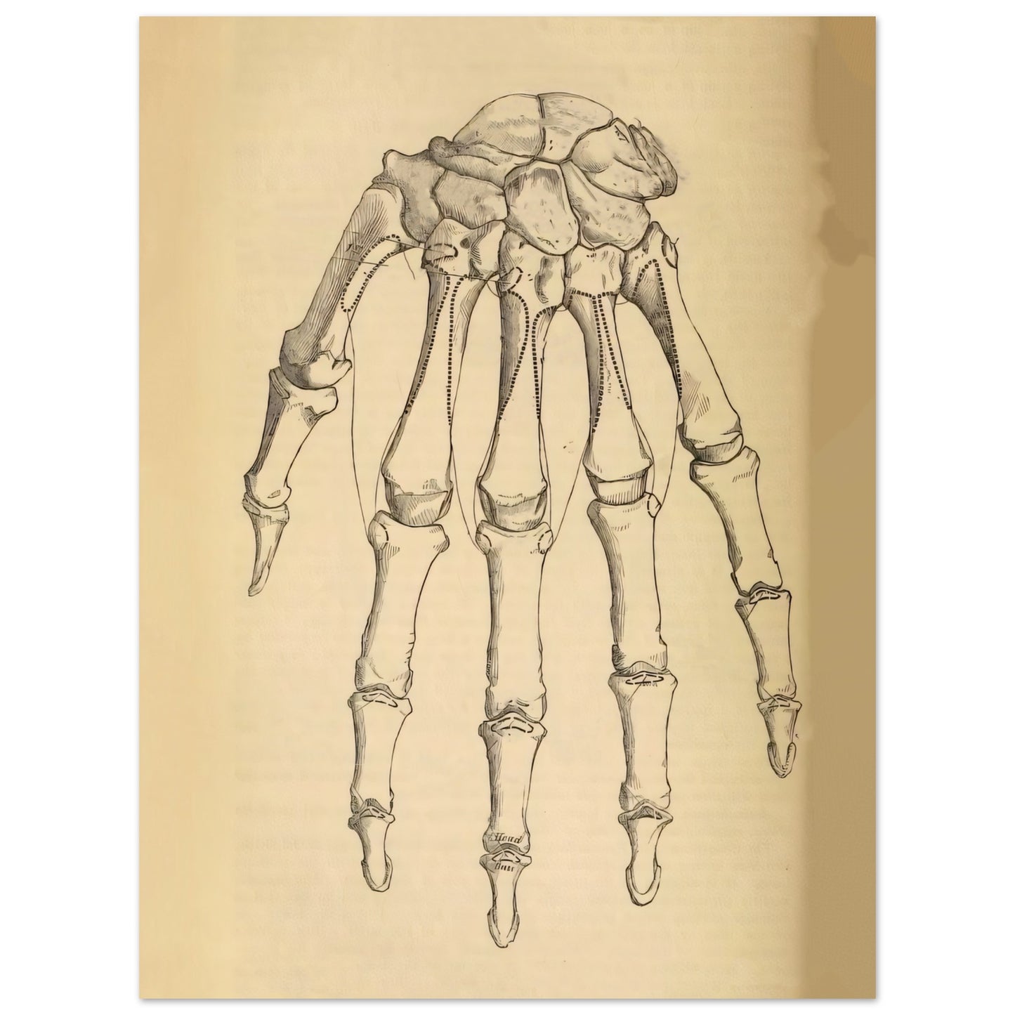 16dda2b4-1e53-459b-ae77-e91dcb4e081d