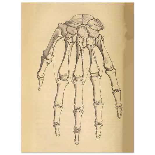 16dda2b4-1e53-459b-ae77-e91dcb4e081d