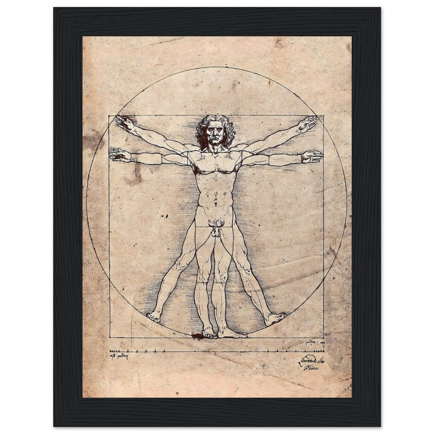 2551cfc8-0752-4f74-b396-5fb2ae49d33f