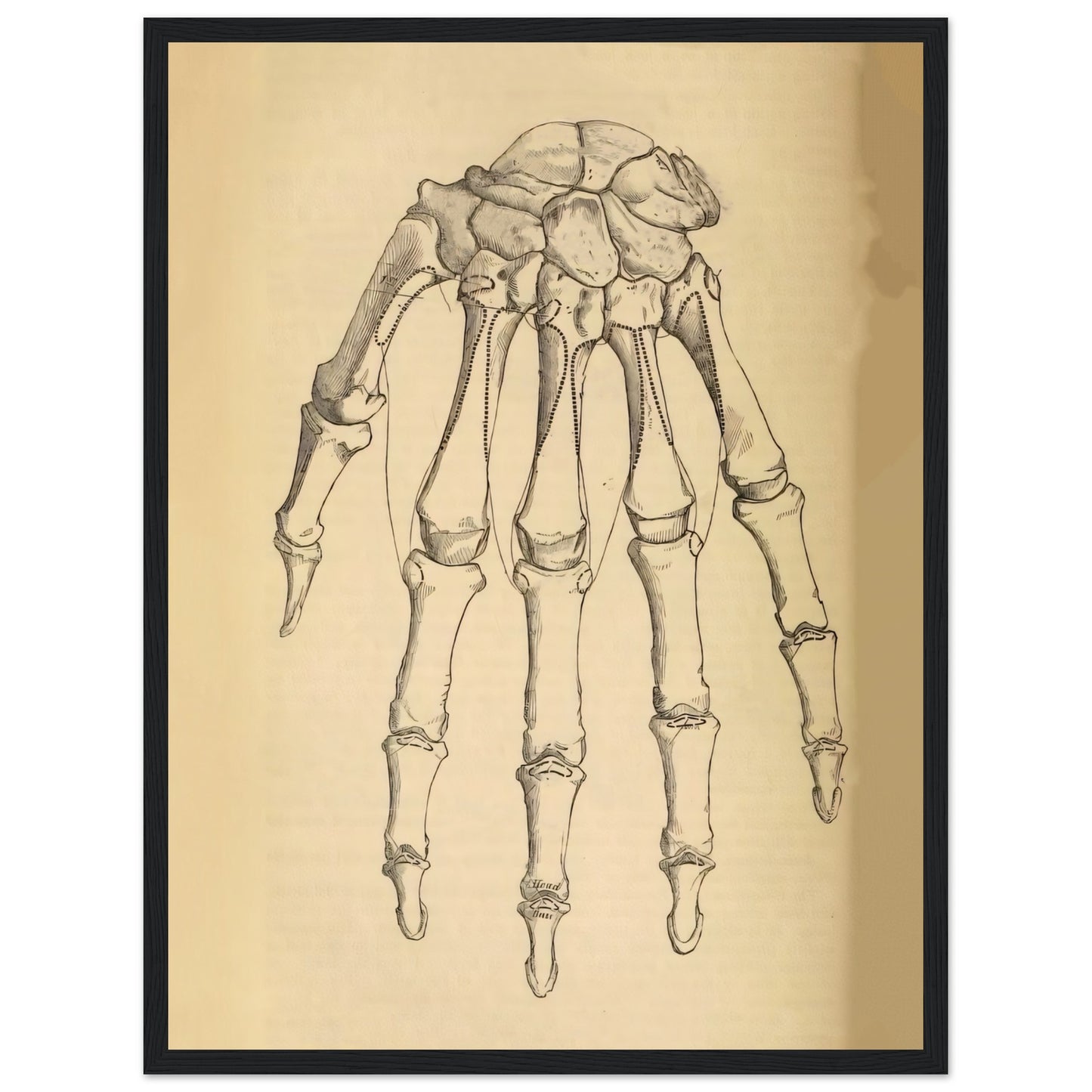 2867105a-2714-4f5b-ab5e-bb3fa3fe19e2