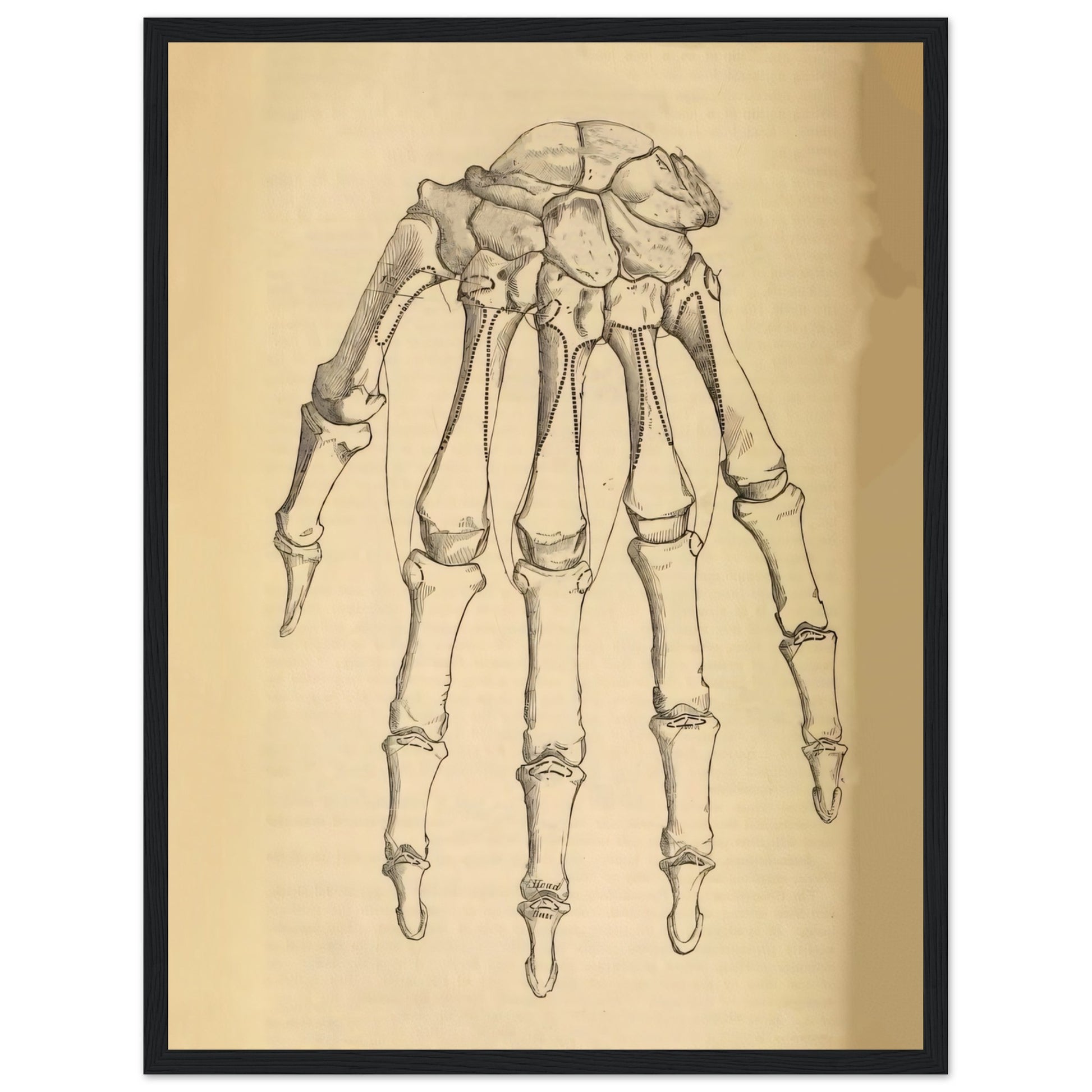 2867105a-2714-4f5b-ab5e-bb3fa3fe19e2