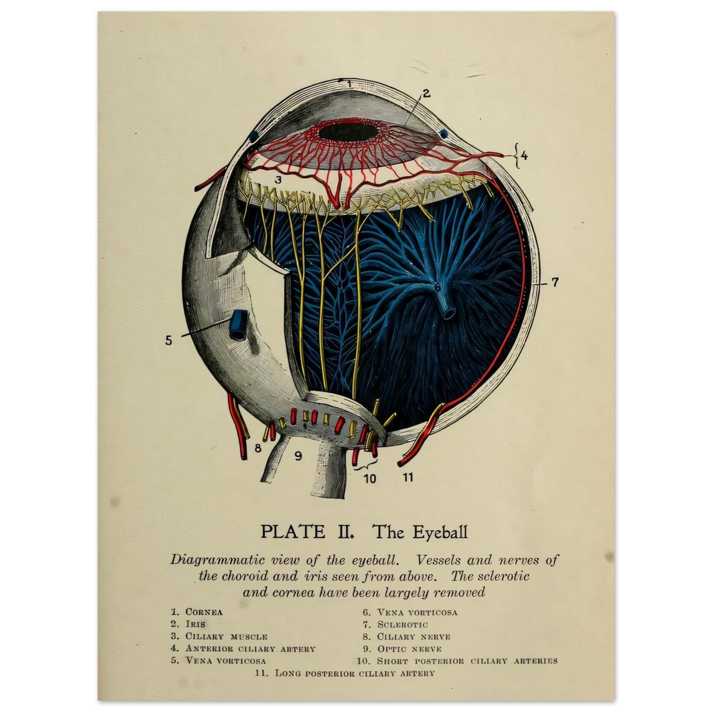 2e16d076-5964-4f62-a535-29765abce761