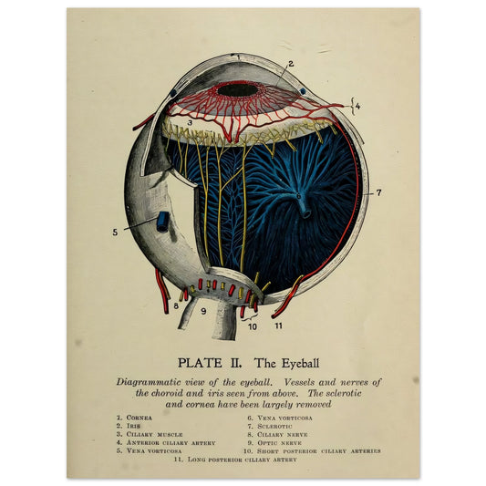 2e16d076-5964-4f62-a535-29765abce761