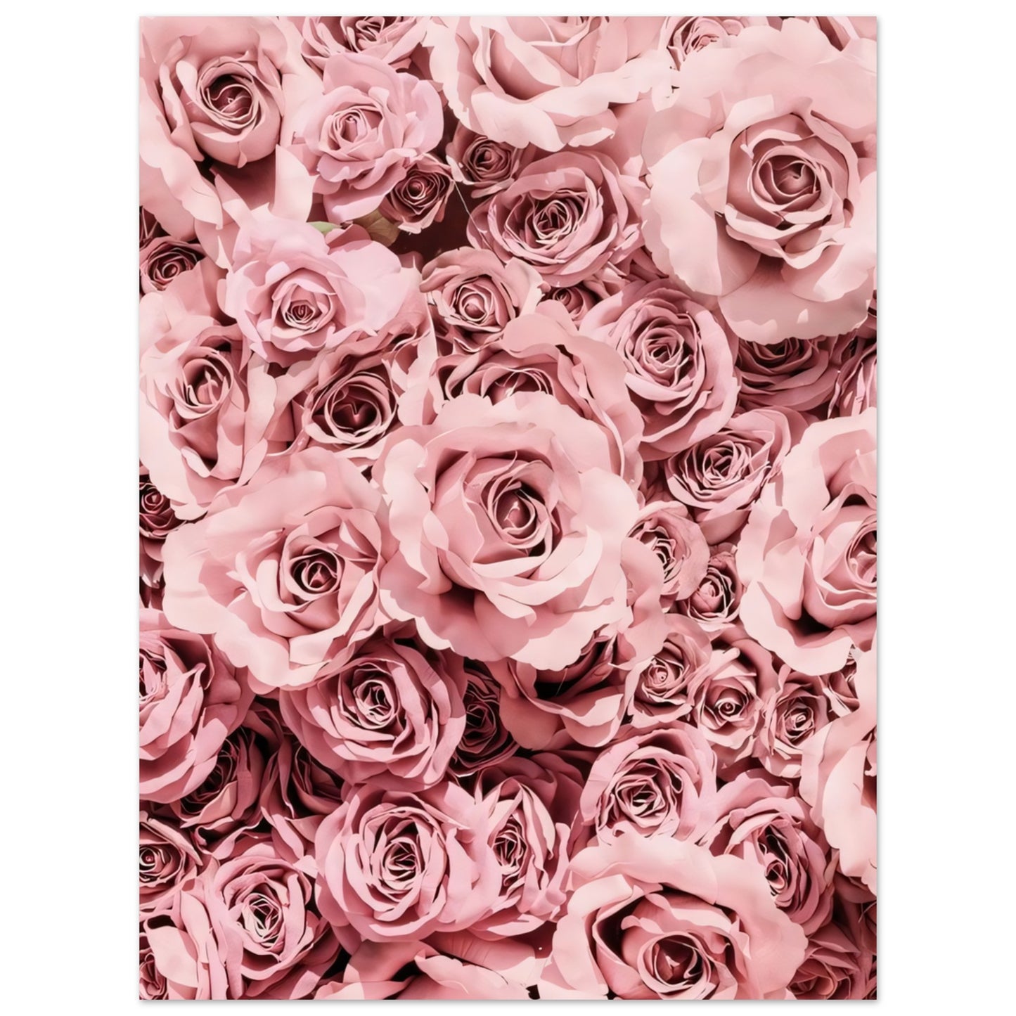 2e2e2919-a463-4d3a-9ca2-dc38749545ff