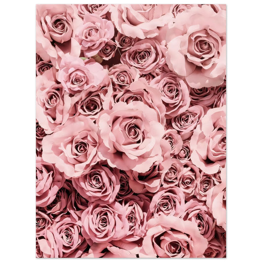 2e2e2919-a463-4d3a-9ca2-dc38749545ff