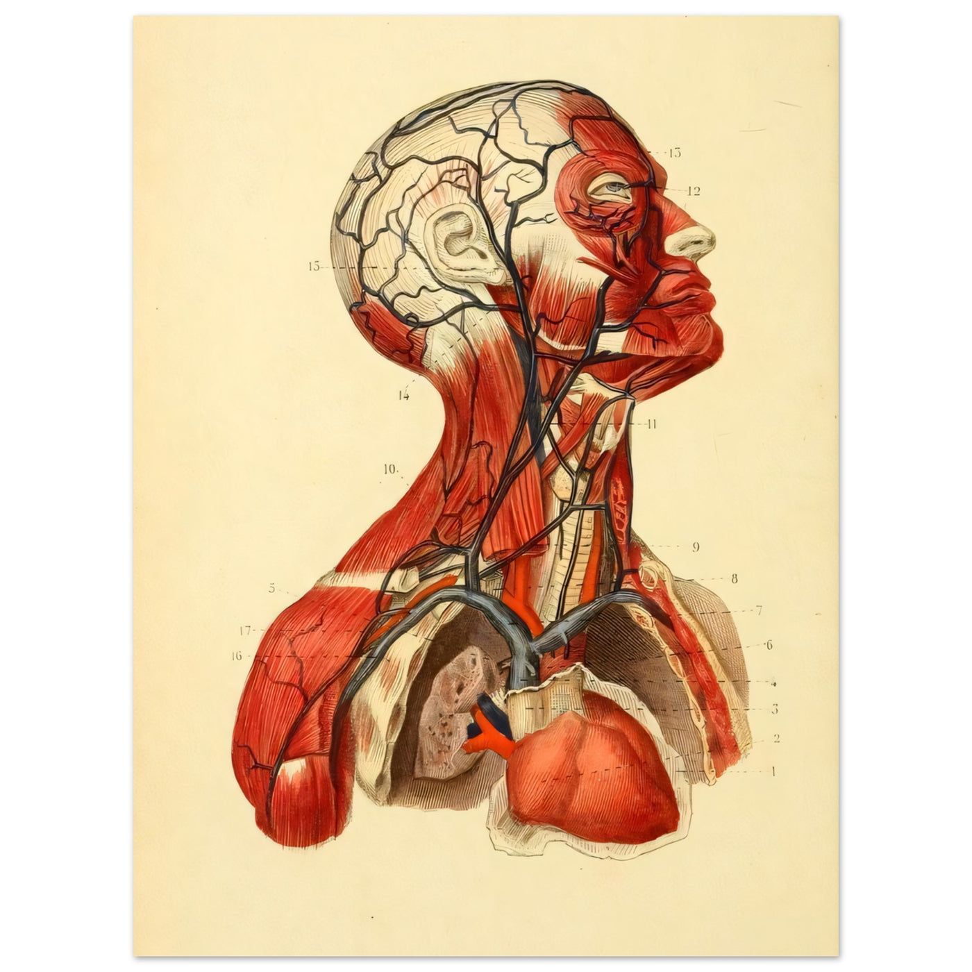 30570341-e809-40e4-b215-7cab6fdb0b68