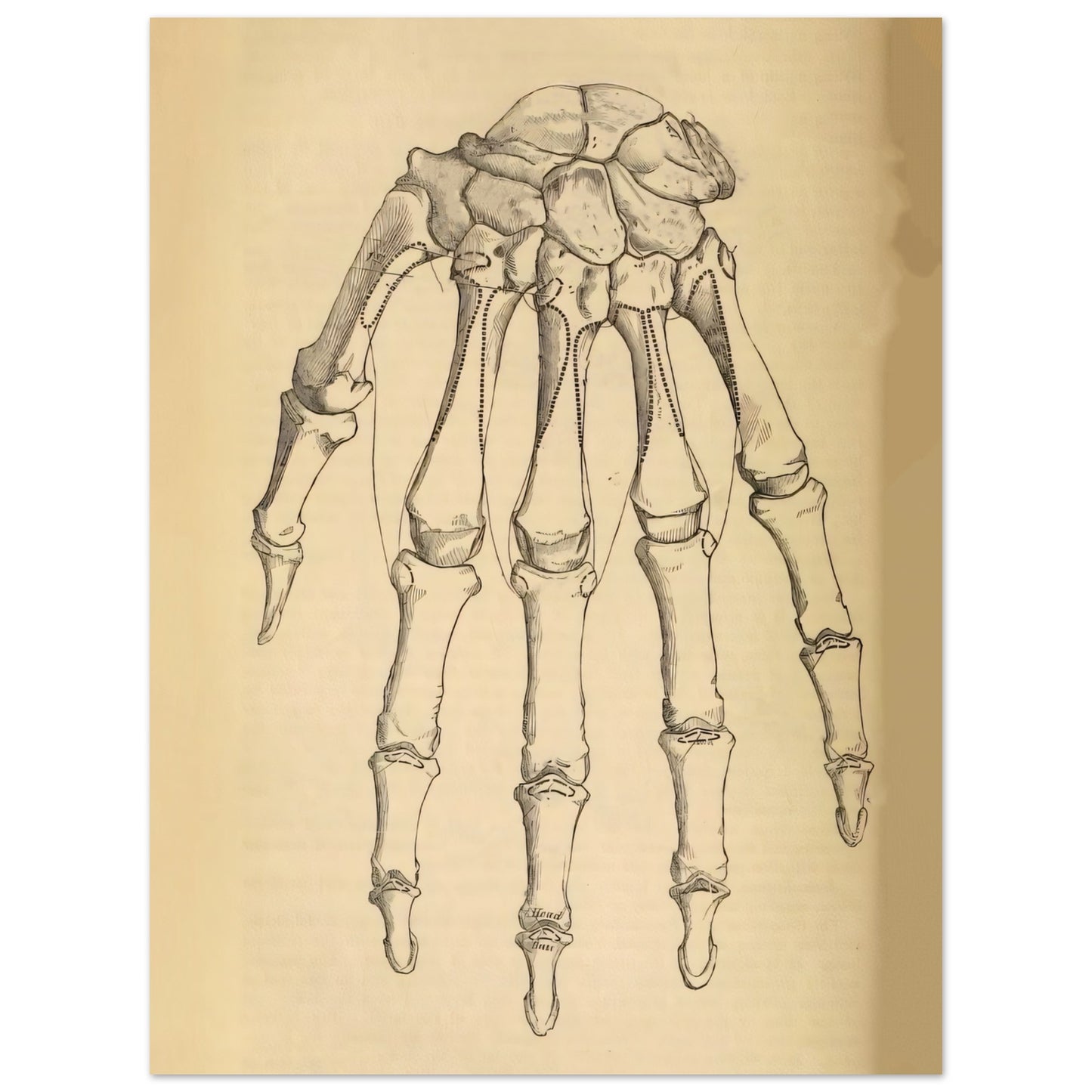 34b519d7-66b2-4215-a890-b33f89c2b6c5