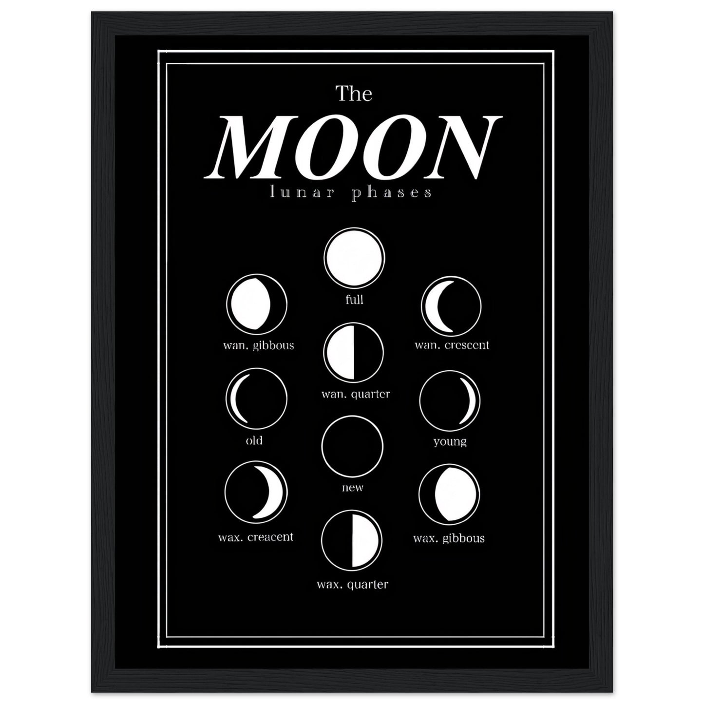 Luna Moon Phases - Poster
