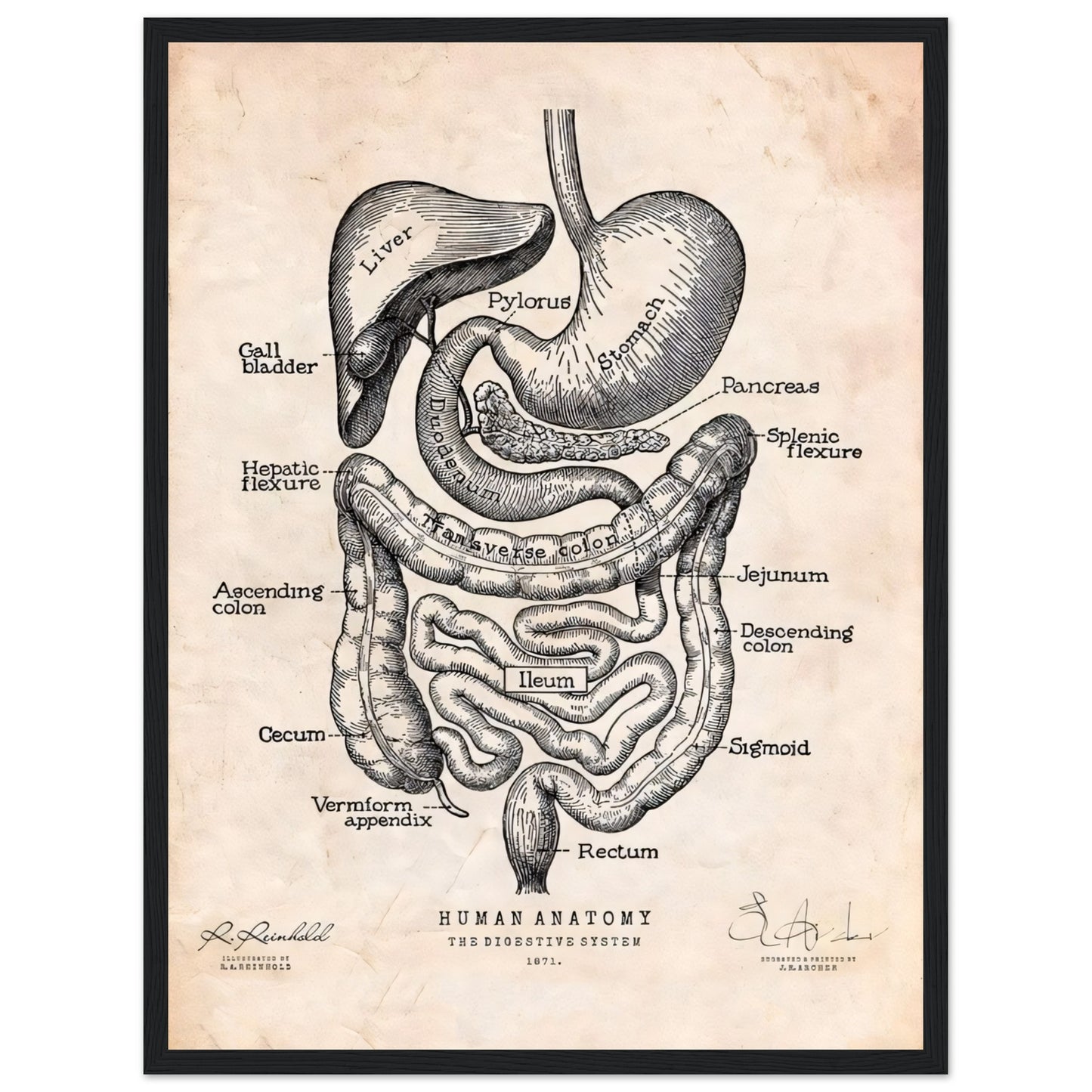 3880ab2f-76f4-46eb-b9d9-9753bfc66f26