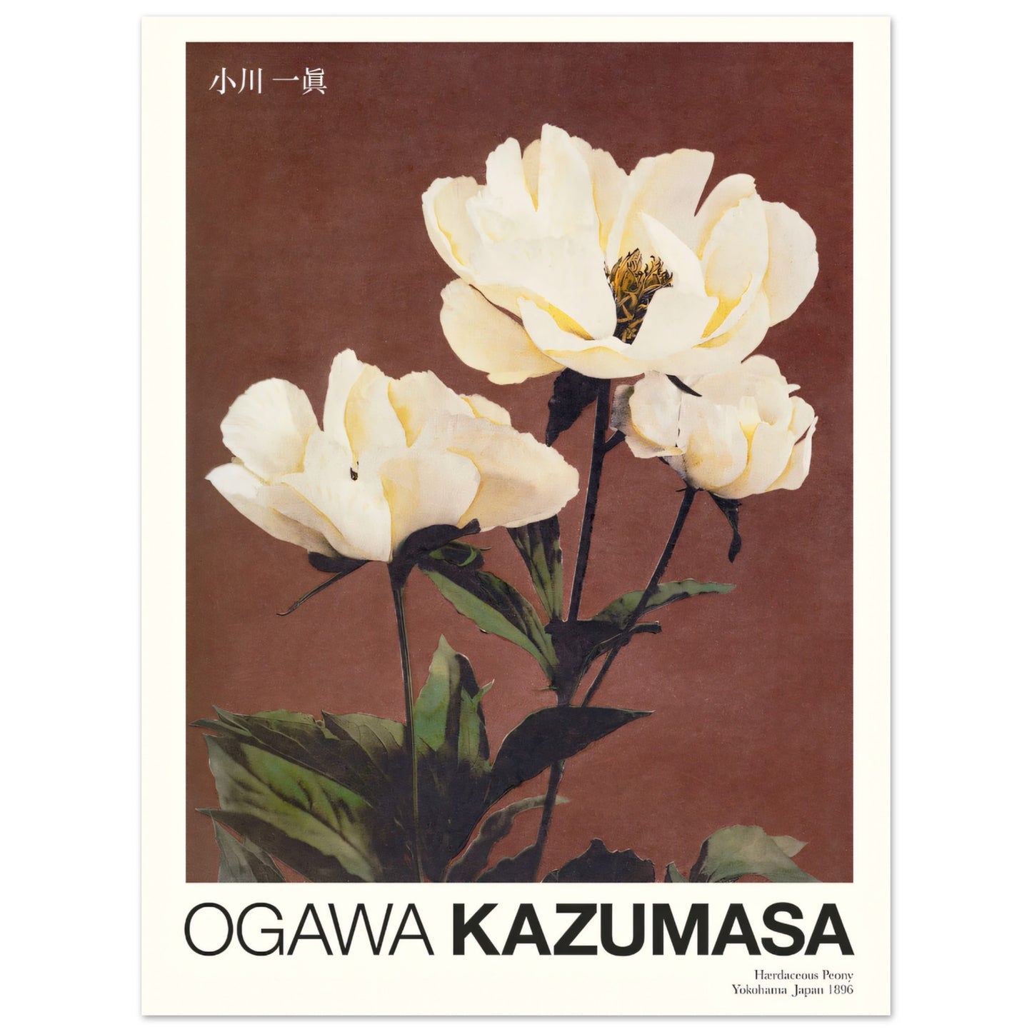 3edcd890-c355-4529-beb6-b2f846e33b88