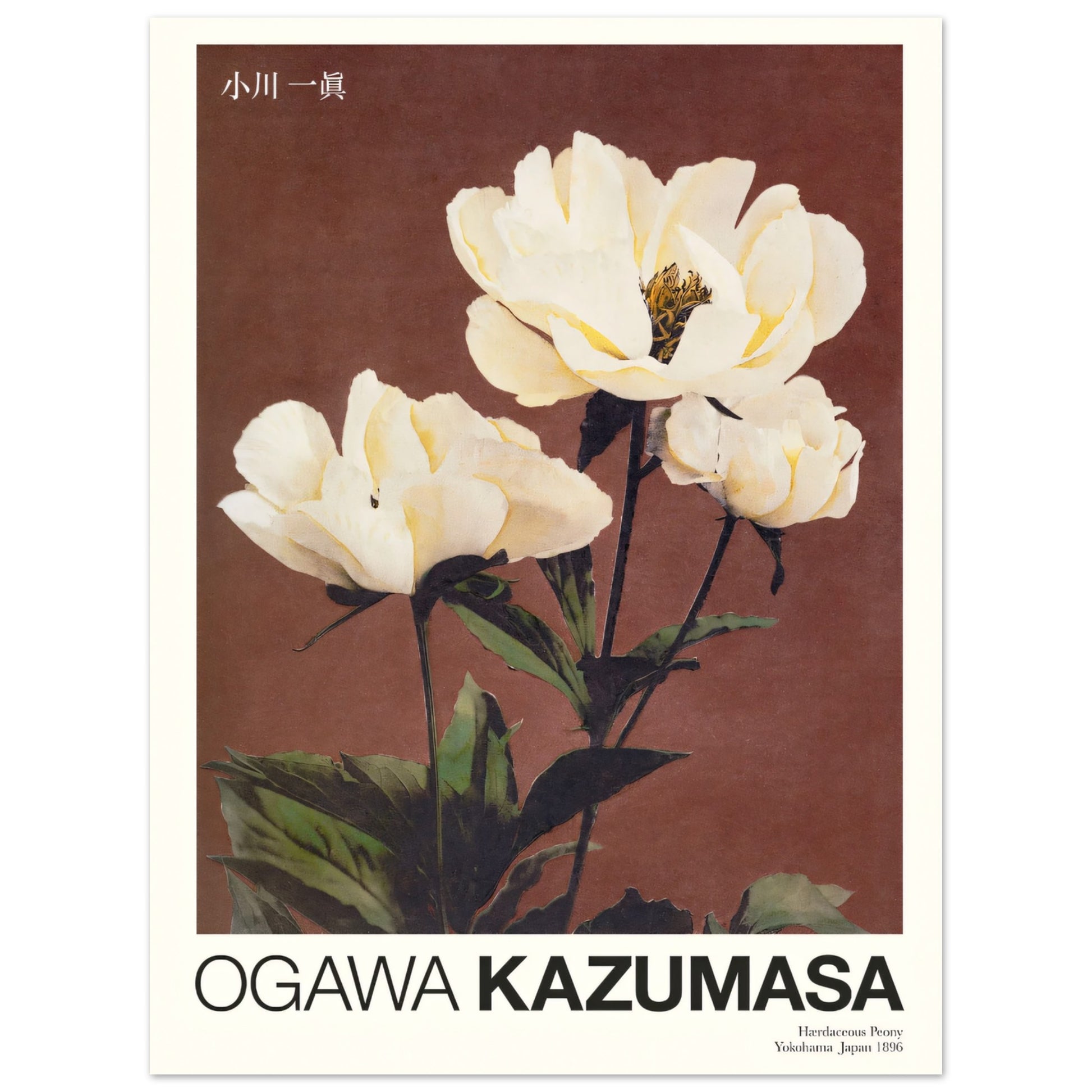 3edcd890-c355-4529-beb6-b2f846e33b88