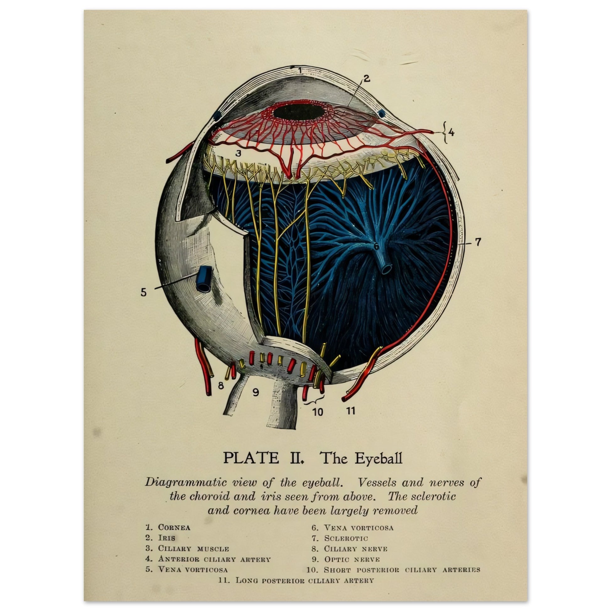 4bf298f9-2890-439e-8c4b-ea23a583616d