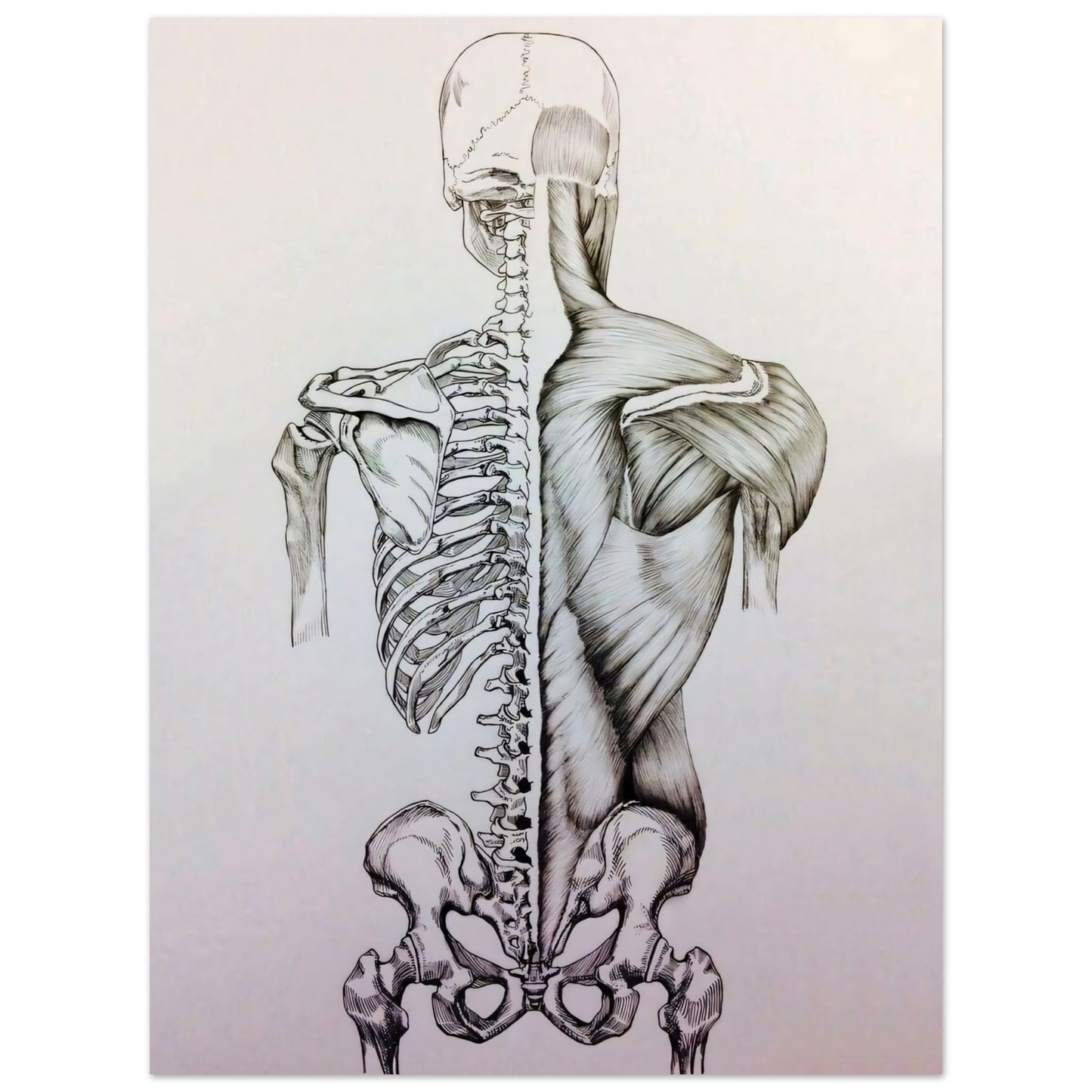 4d4fc432-df80-4768-a2ed-7ed4059afcba