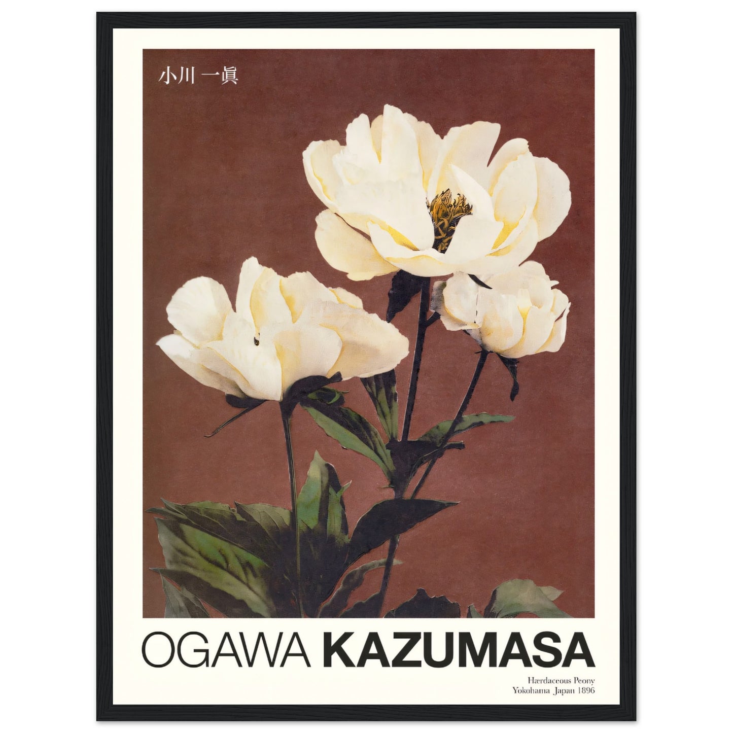 59afa26a-89d0-4c52-b282-f6ba4408fcc6