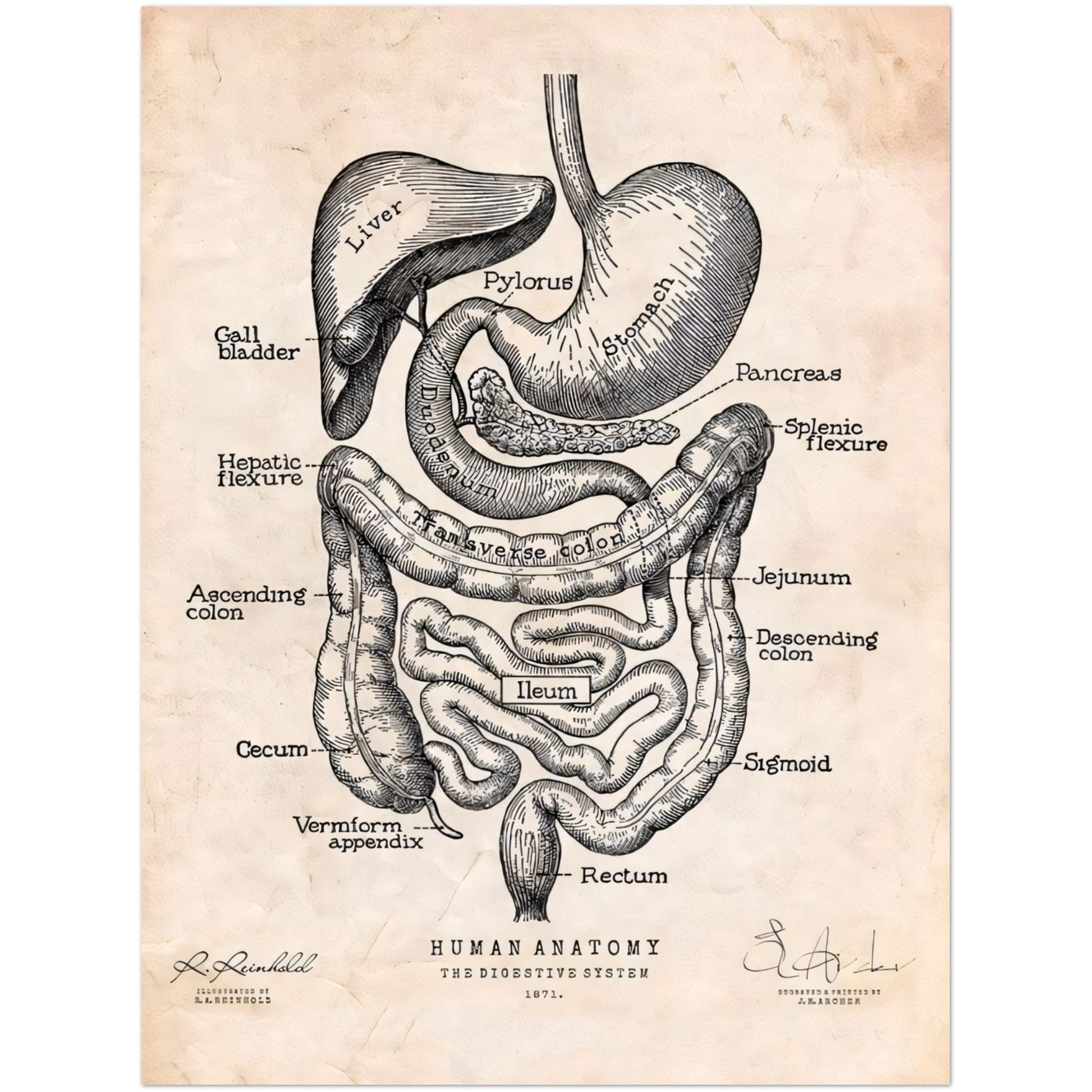 611a1c1b-0441-4a2f-8560-7bd586ac7779