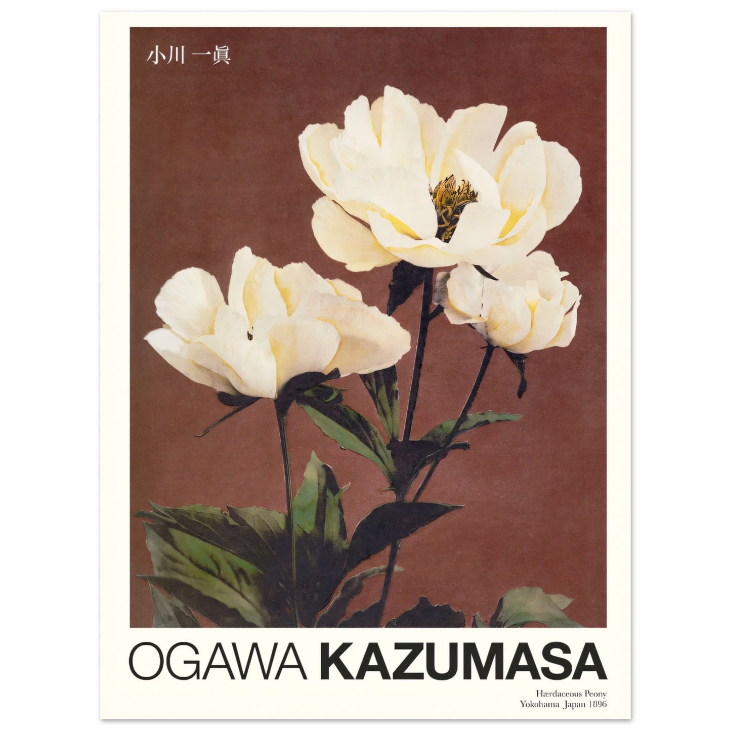 66177462-870e-4167-8a32-2831f52be6bf