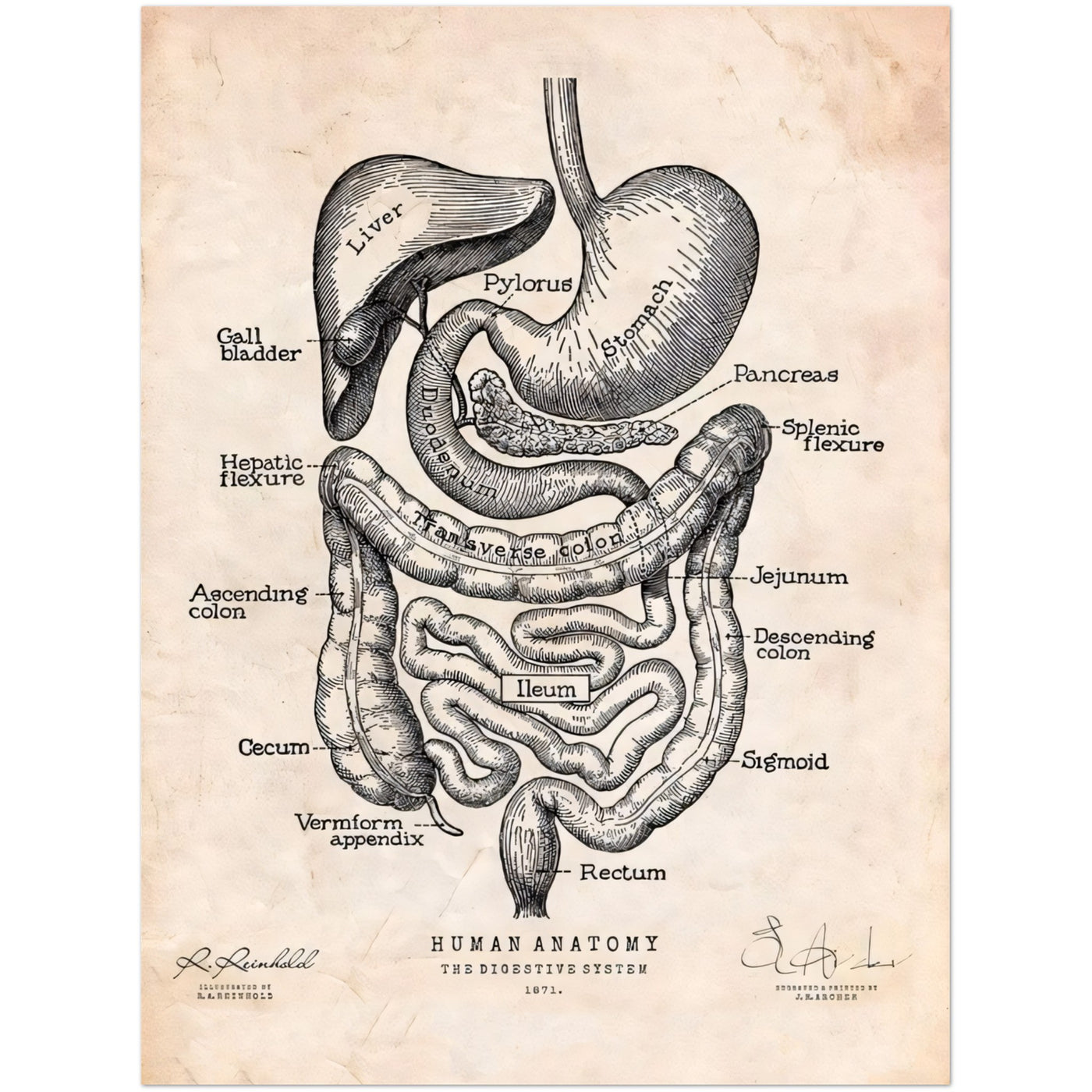 667e0acc-7691-4b24-8fbe-7f4fa25075be