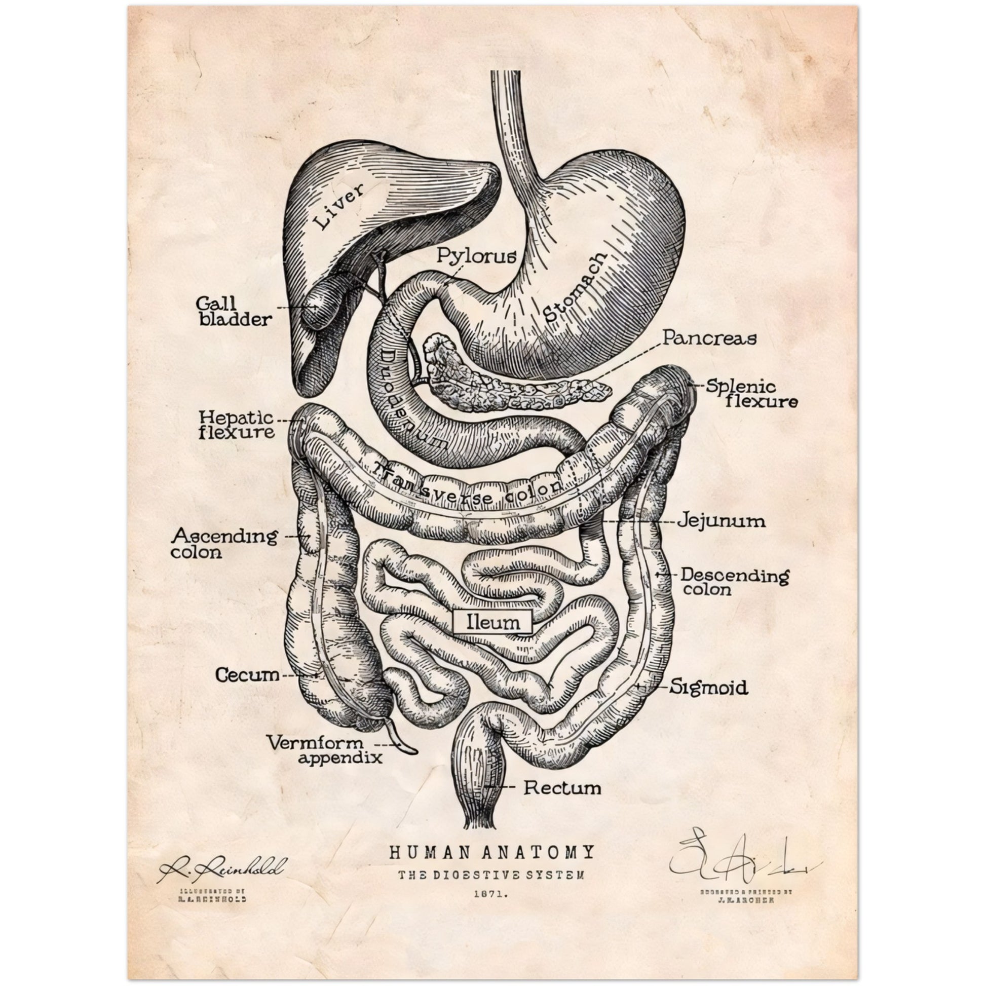 667e0acc-7691-4b24-8fbe-7f4fa25075be