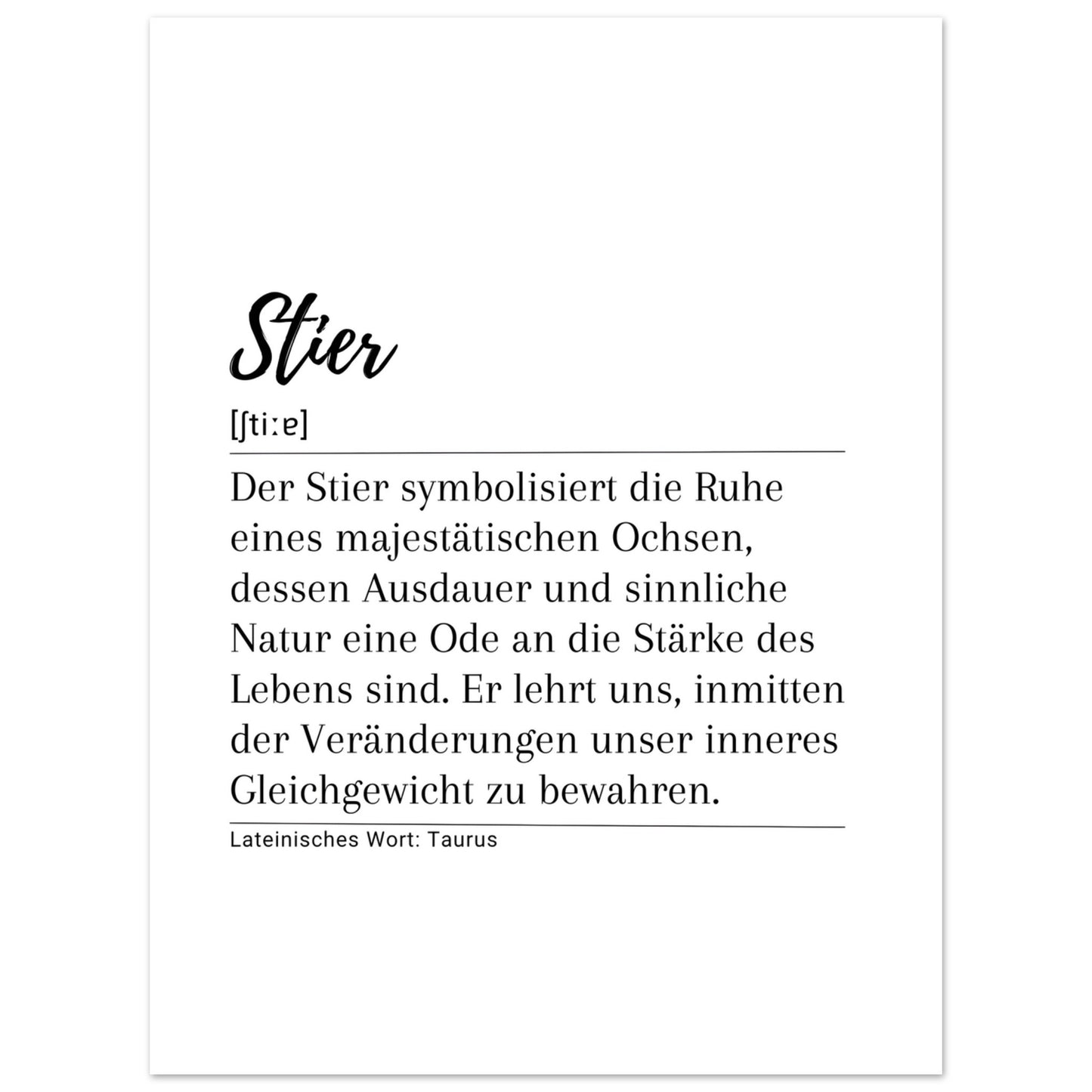 Stier - Poster