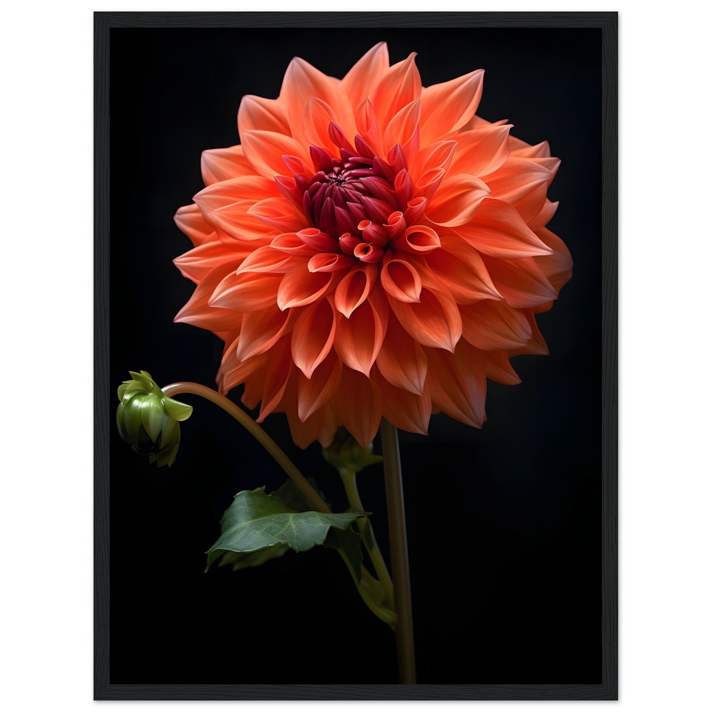 Dahlie Orange - Poster