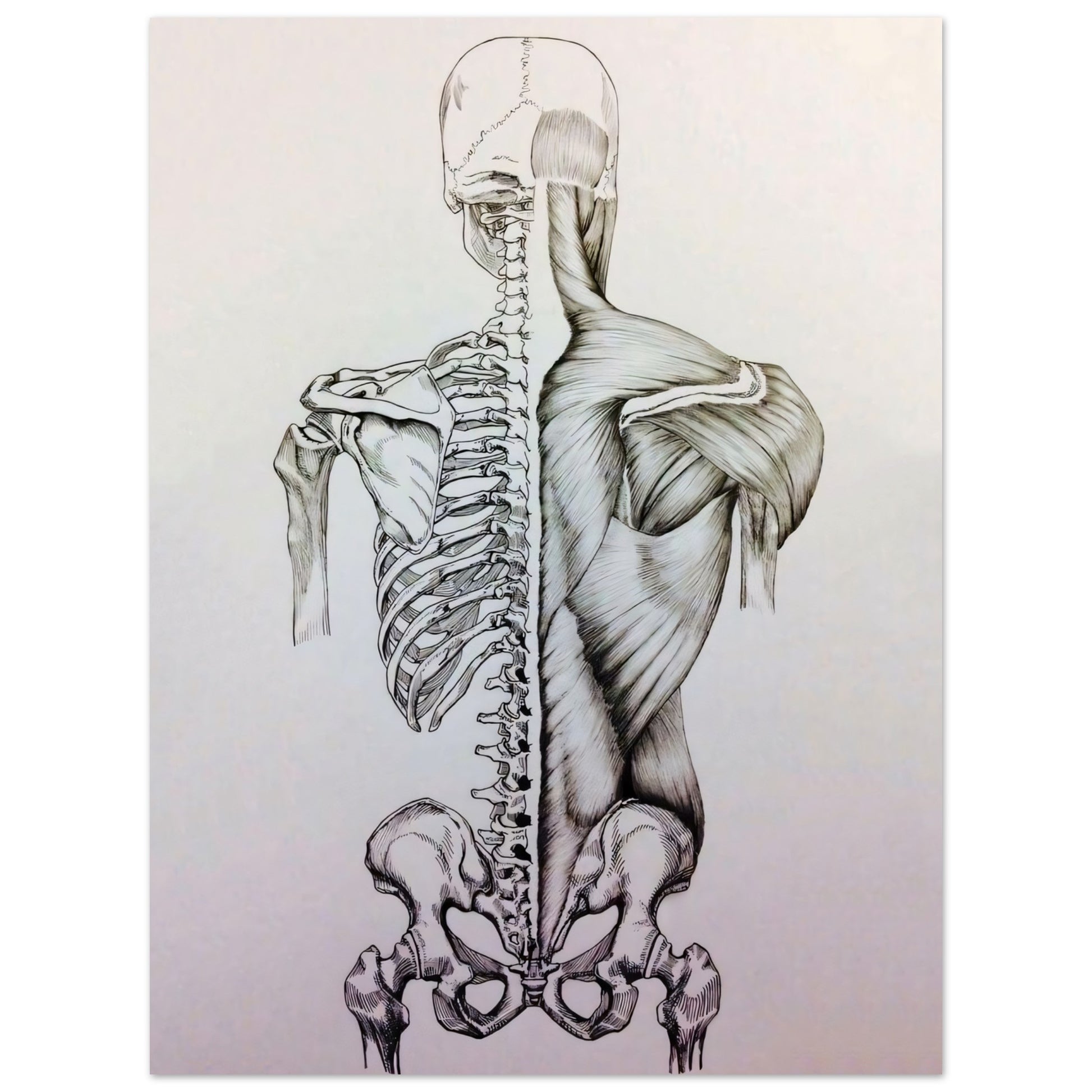 7e07bde9-7852-4f2e-8f70-9033e7b71c72