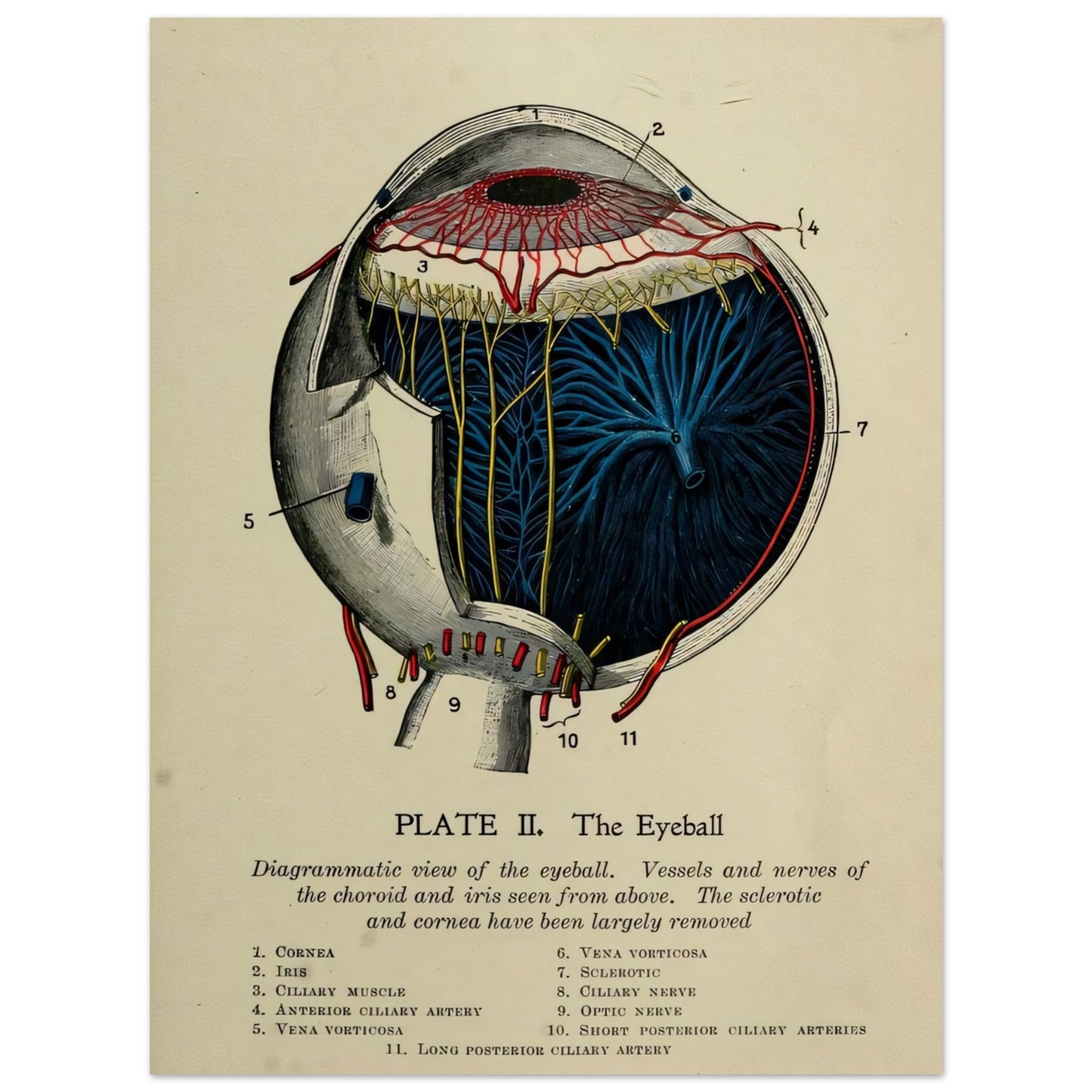 8180c304-8a84-4995-98e5-956f12543a34