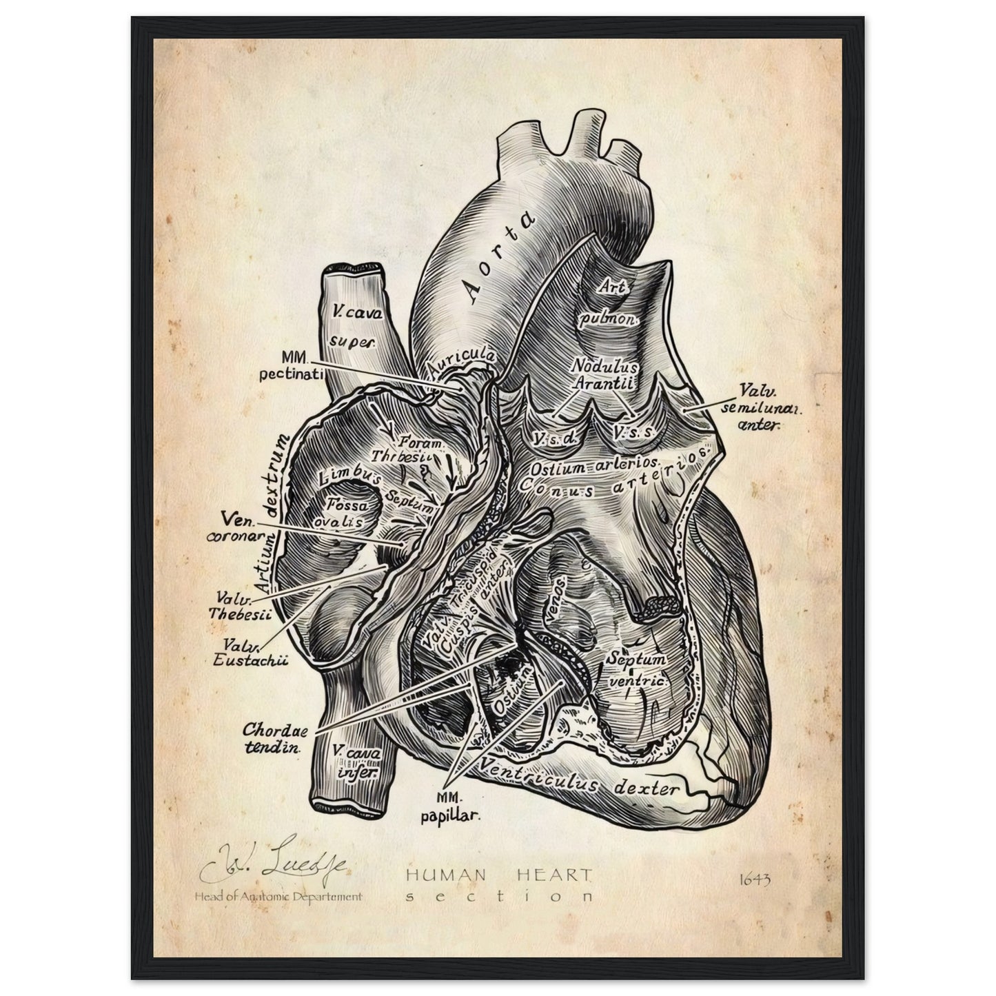 888d879c-296d-44d1-af8e-d4f4523fda62