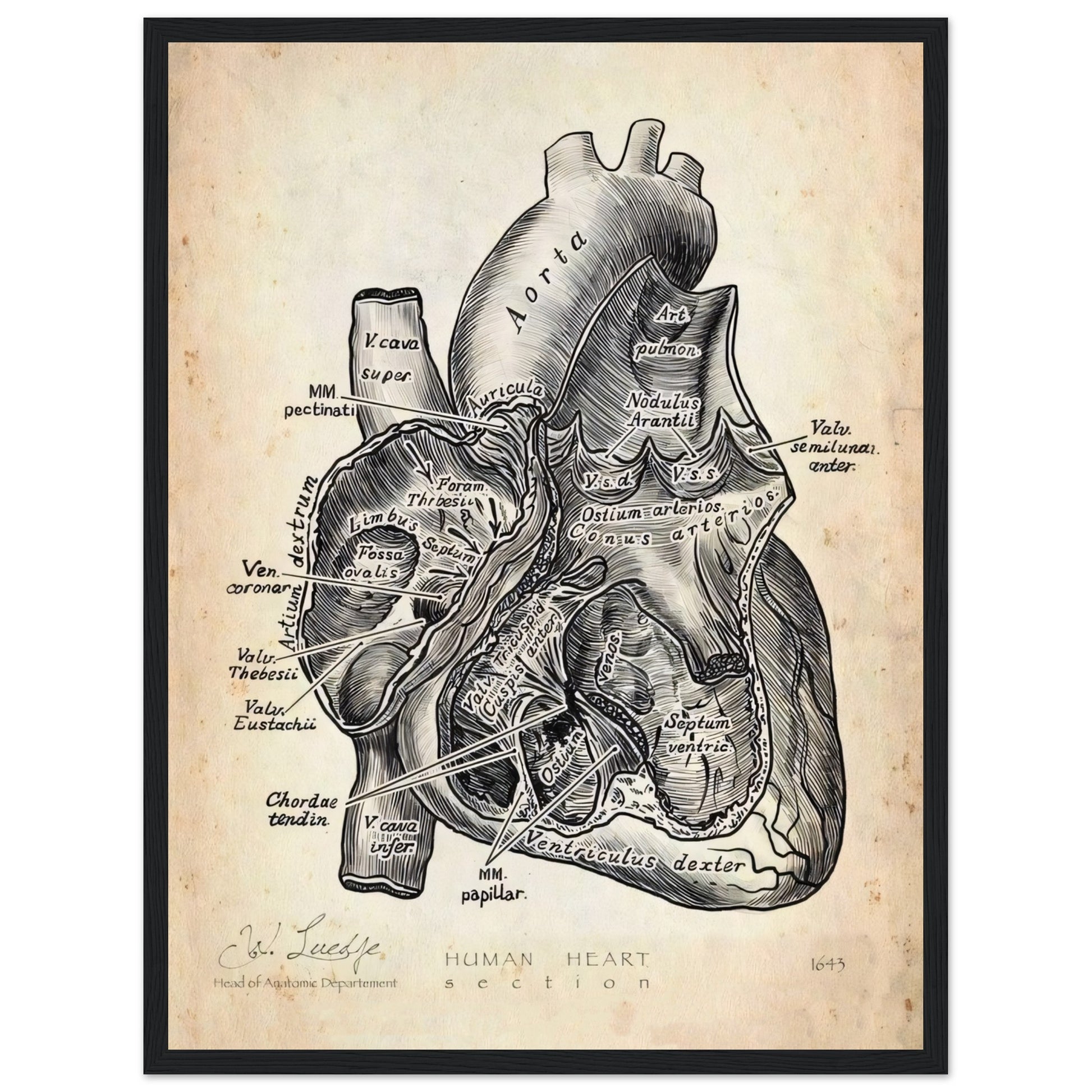 888d879c-296d-44d1-af8e-d4f4523fda62