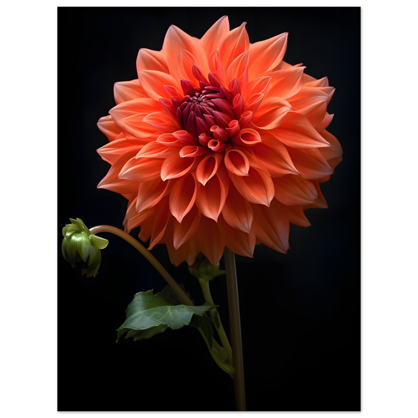 Dahlie Orange - Poster