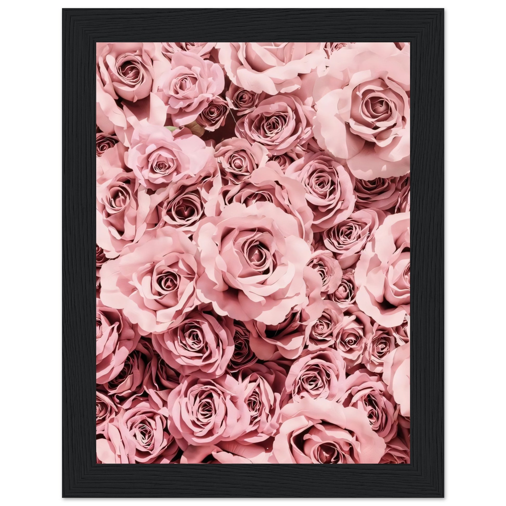 8cb4afc2-5373-461f-8518-5dc8284f3e67