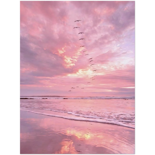 9a285b28-512e-407e-bb4f-8e279d777c83