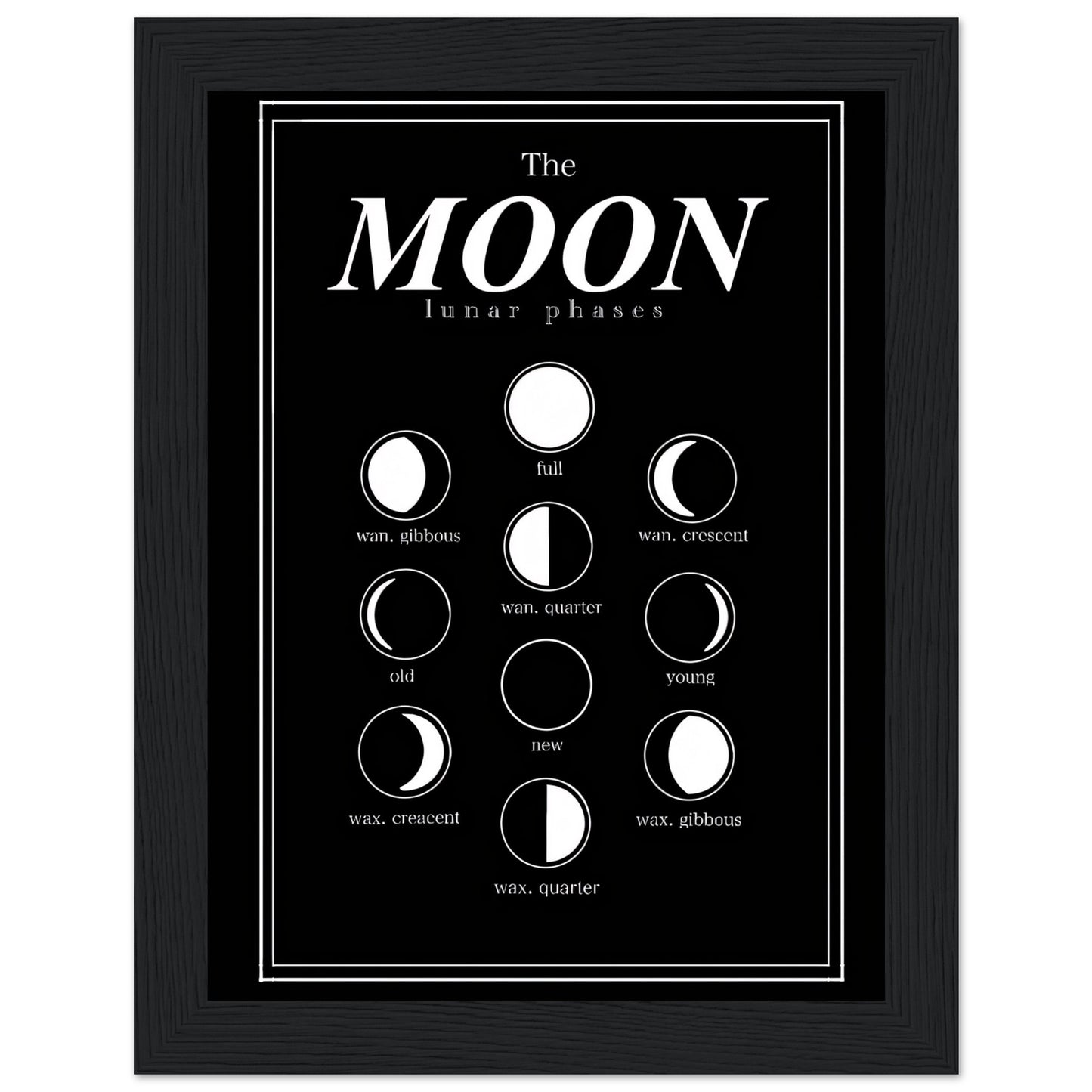 Luna Moon Phases - Poster