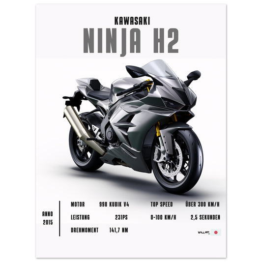 Ninja H2 II - Poster