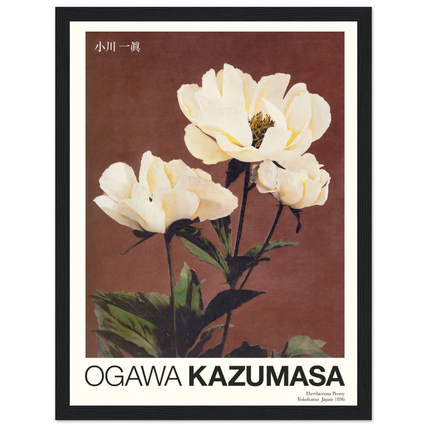 a5024ceb-5800-4f32-9f6f-1e1344e36988