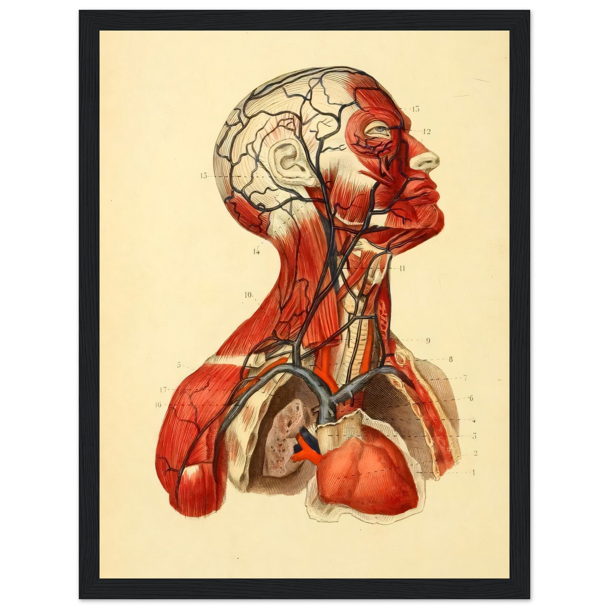 a5582d0c-0352-4b0c-abce-255db72c954b