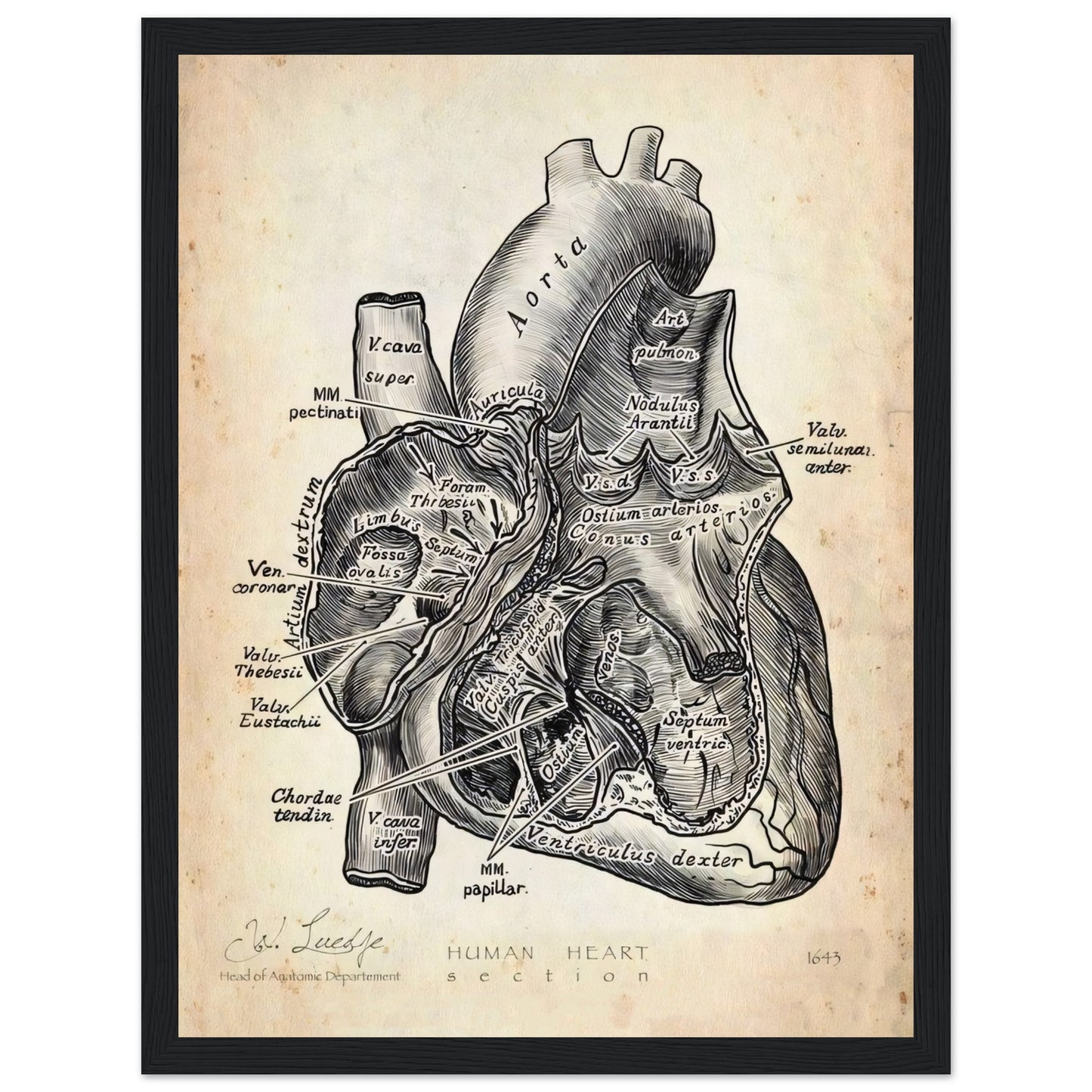 a72a398e-a81c-4f41-8a5d-d5c32afaf4b8