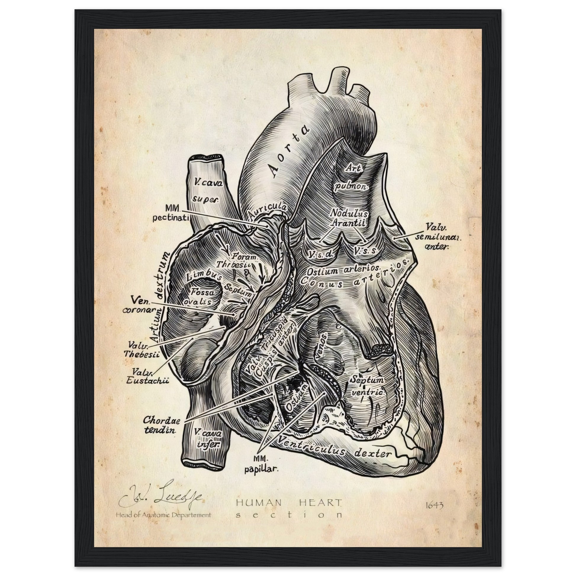 a72a398e-a81c-4f41-8a5d-d5c32afaf4b8