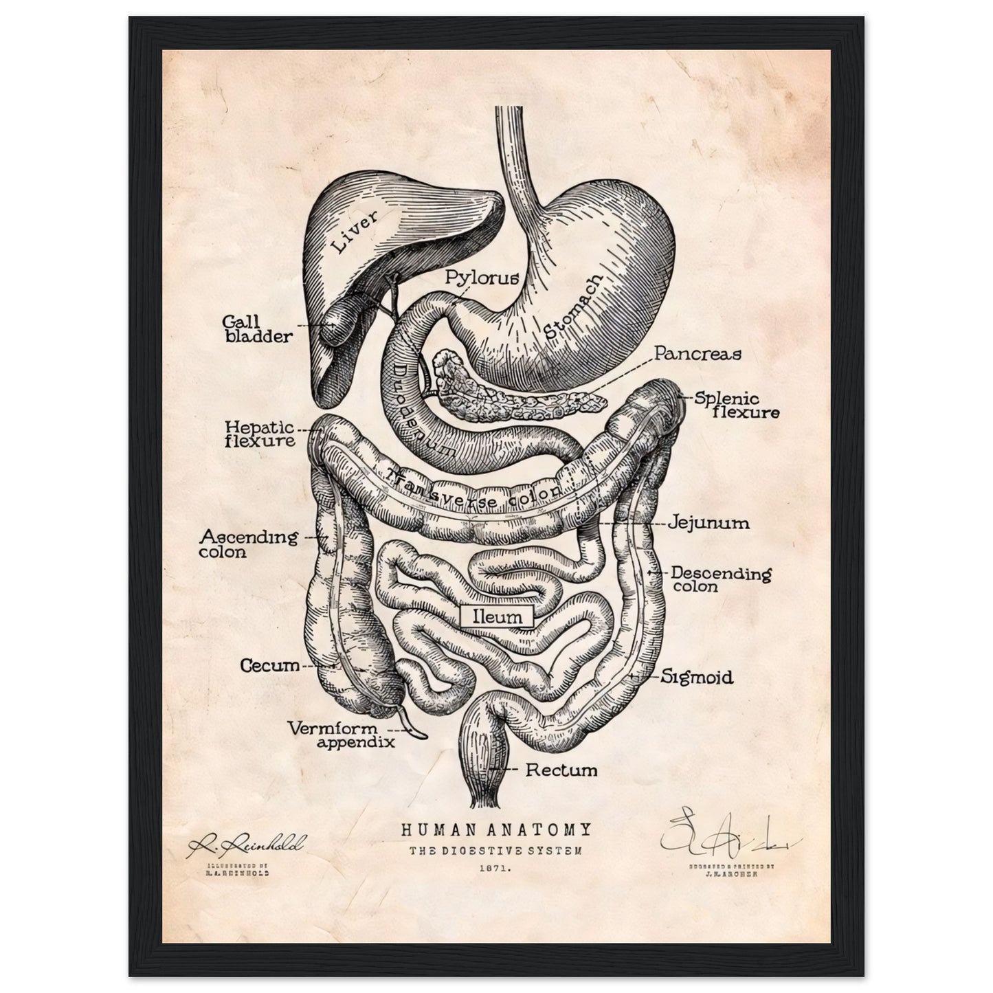 ac68489c-3132-470a-81e8-dd51af98736f