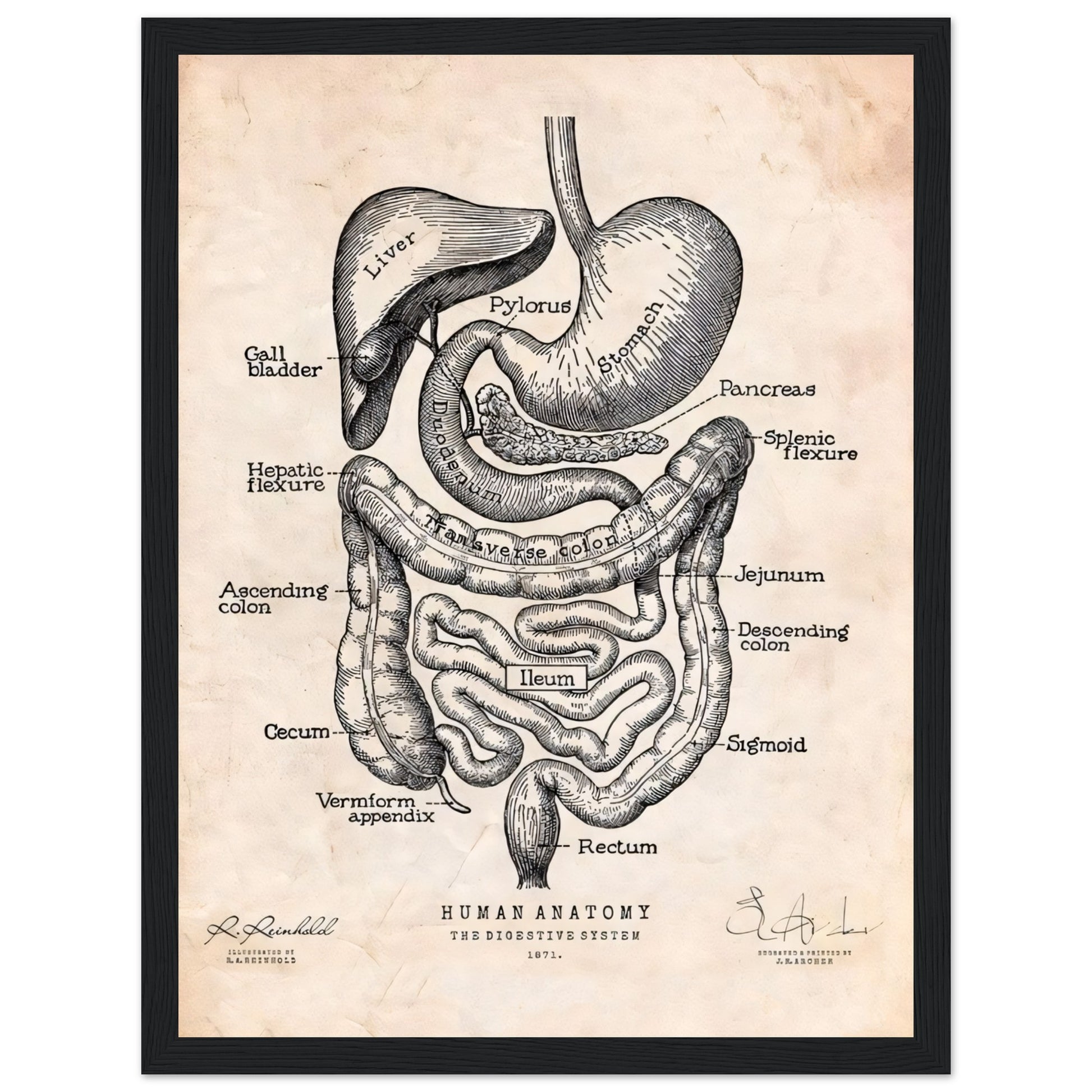 ac68489c-3132-470a-81e8-dd51af98736f