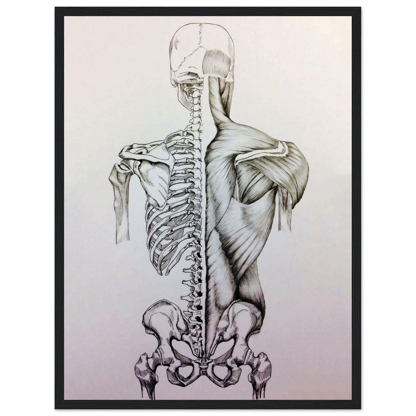 b29c9c54-9b21-4109-b26a-97525a44b45c