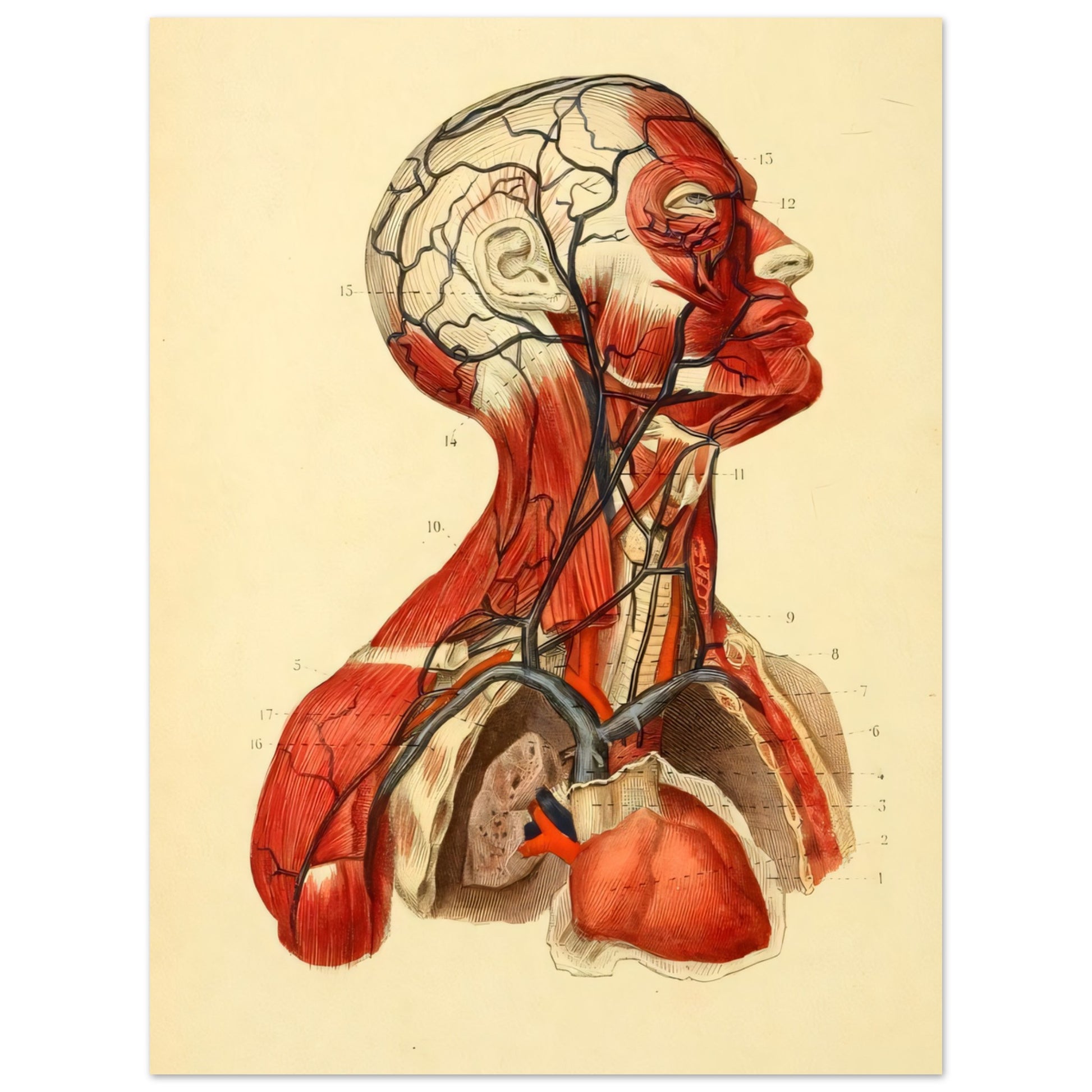 b625975a-dd48-4656-8927-9fc13f4f5d1e