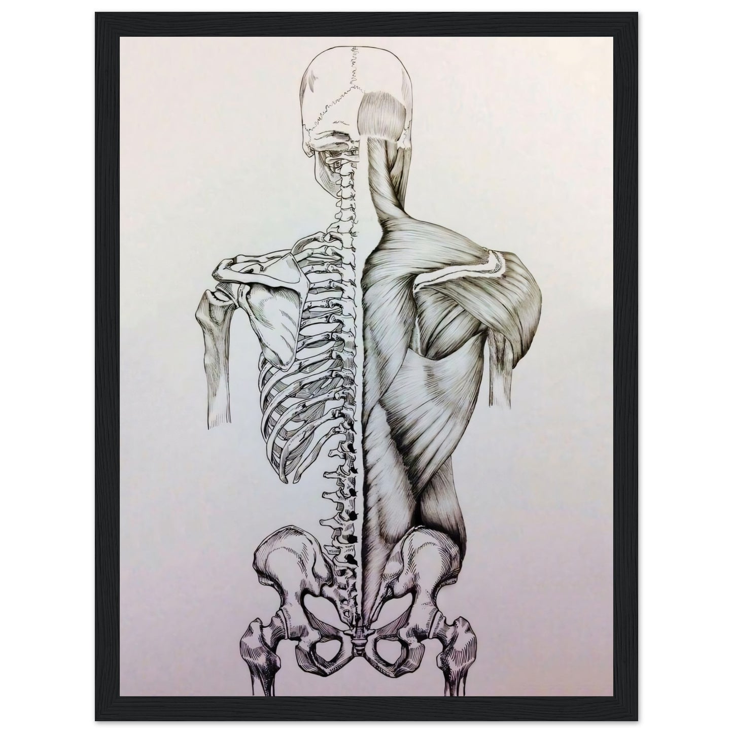 c0f8e01a-1621-467c-8406-1d6636359fd2