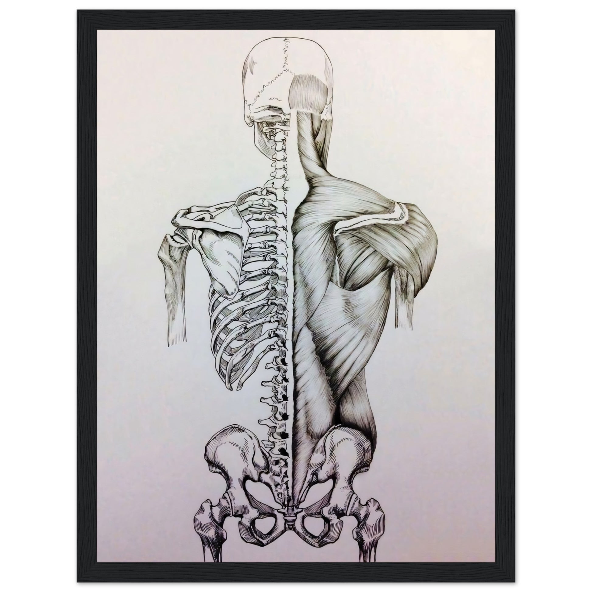 c0f8e01a-1621-467c-8406-1d6636359fd2