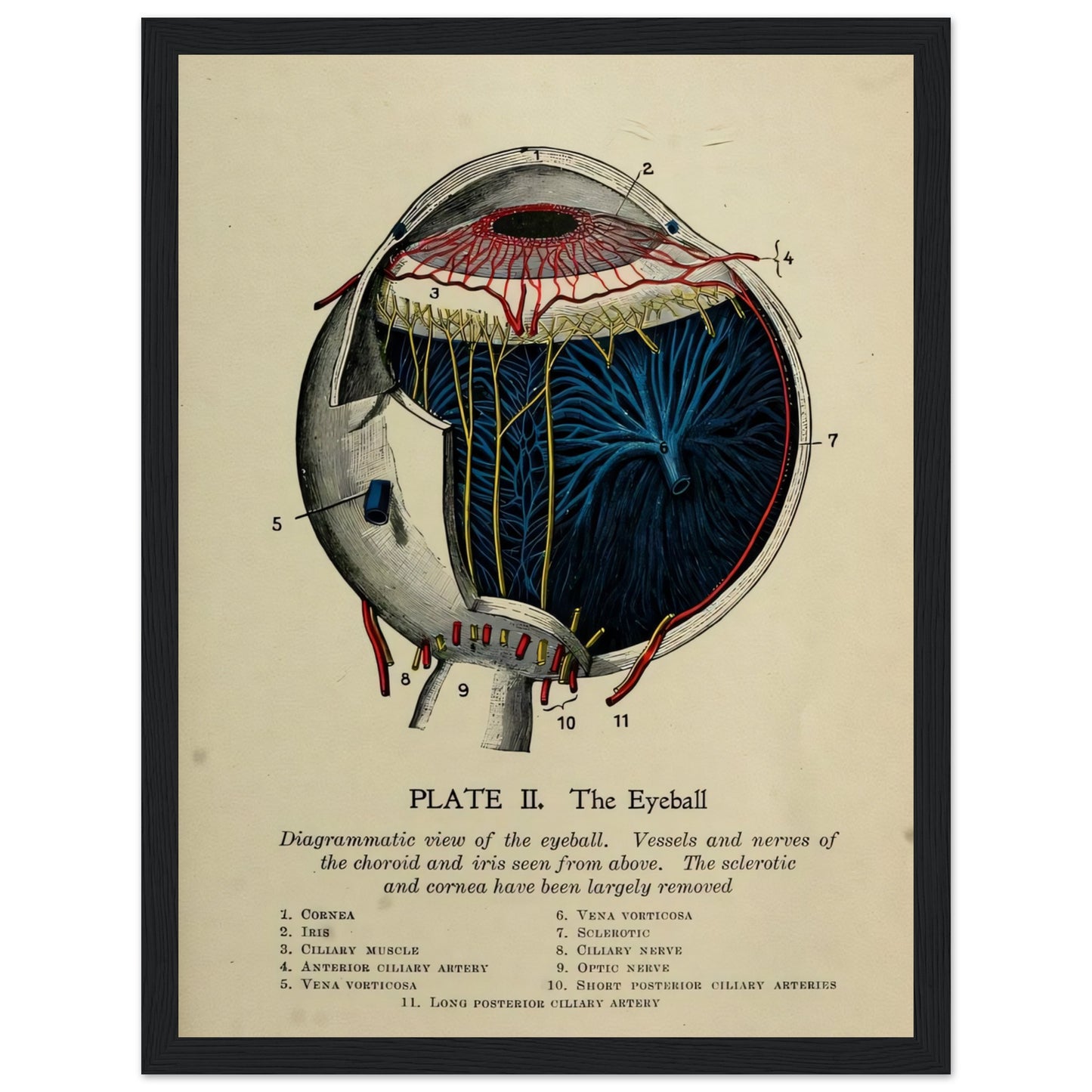 c19347fa-38c6-4cd8-b459-8e9311ed057f